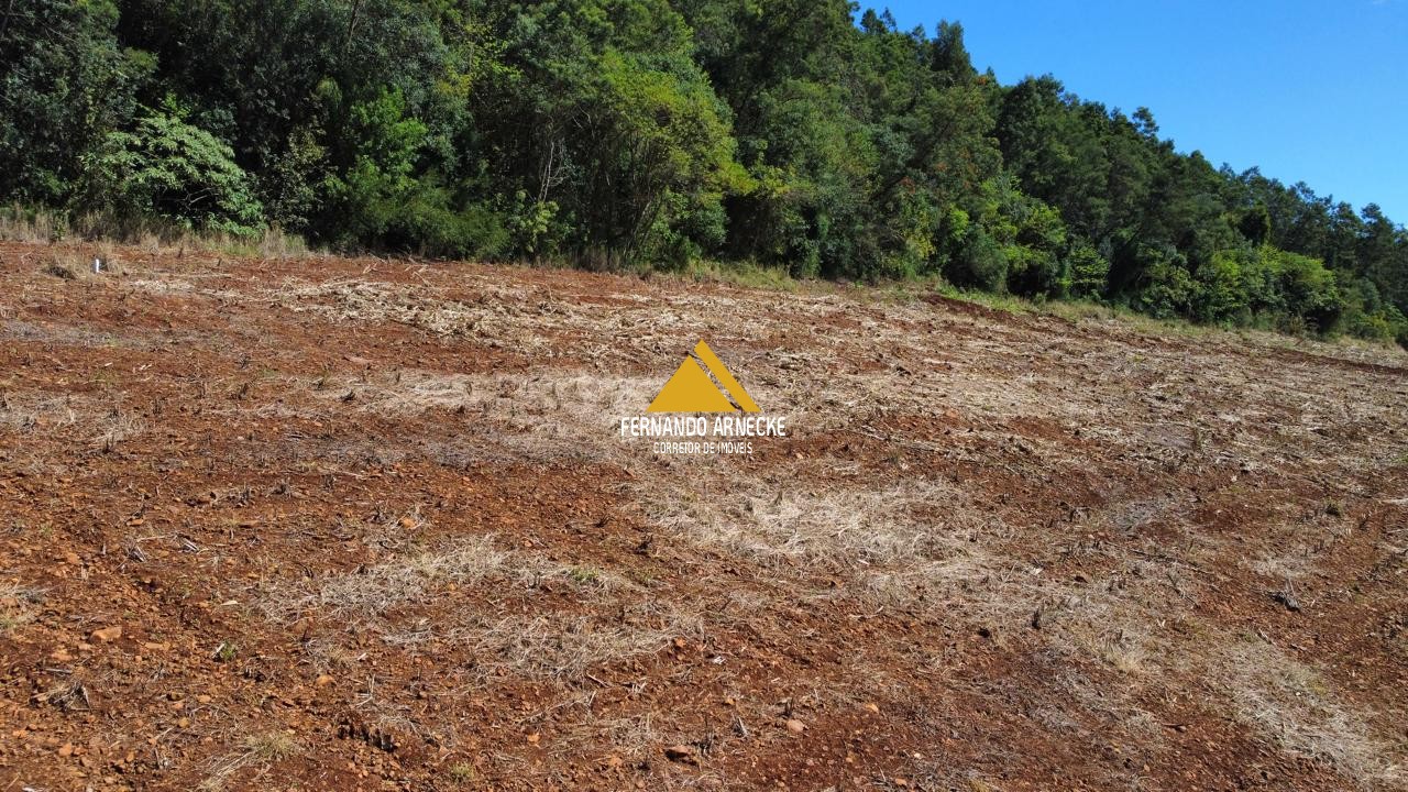 Sítio / Chácara para Venda no bairro Linha Quatro Cantos em Morro Reuter