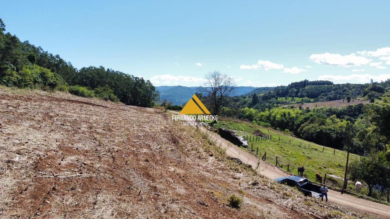 Sítio / Chácara para Venda no bairro Linha Quatro Cantos em Morro Reuter