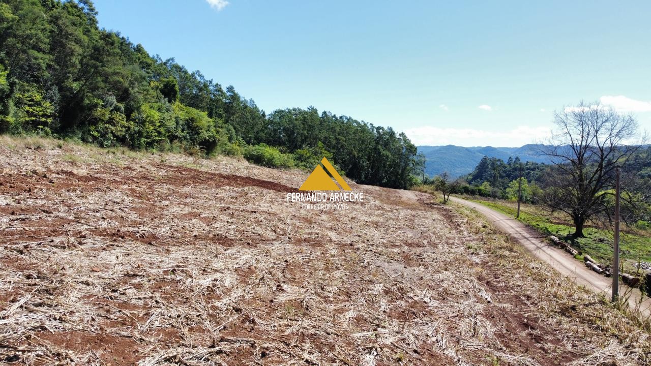 Sítio / Chácara para Venda no bairro Linha Quatro Cantos em Morro Reuter