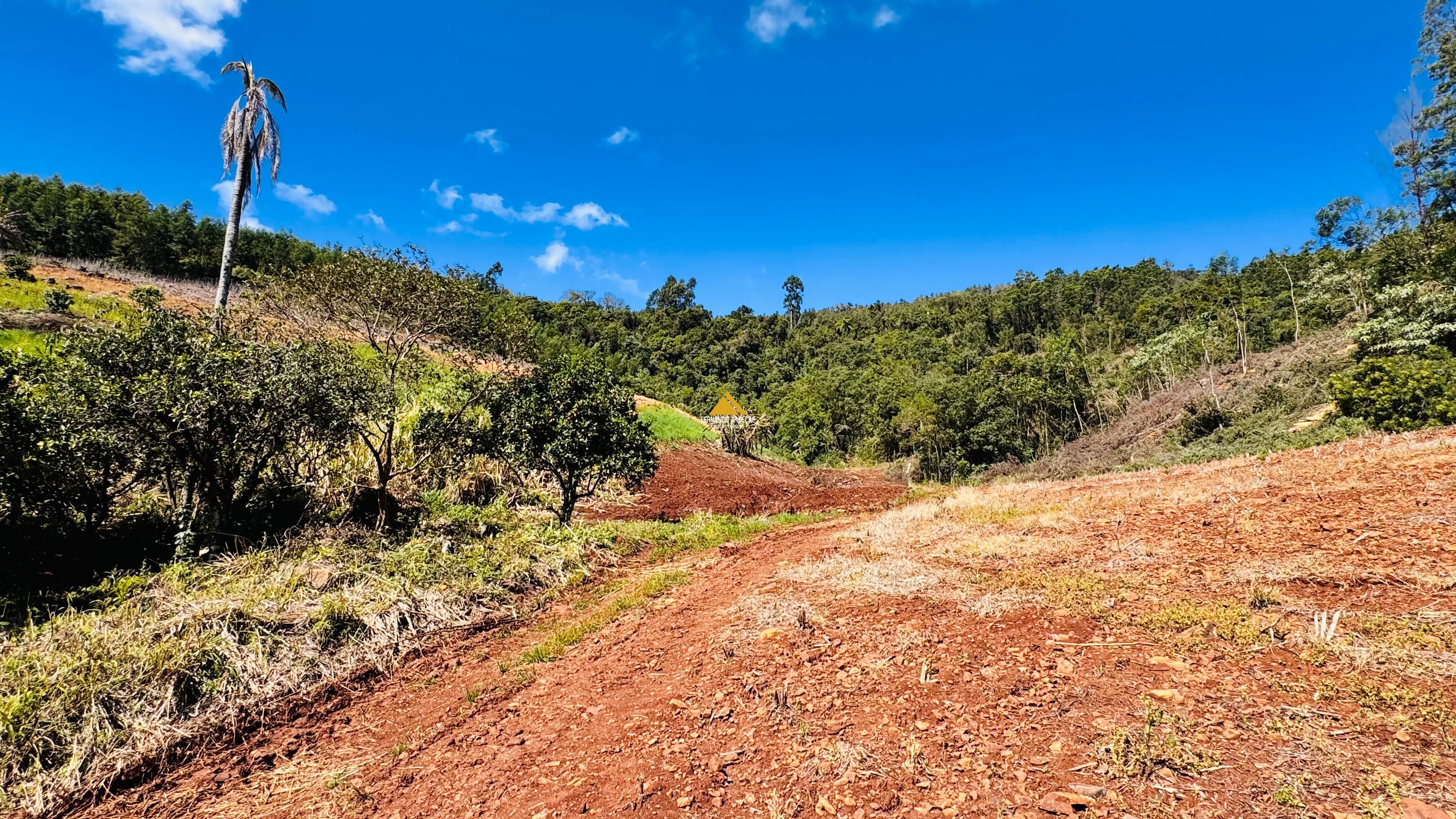 Sítio / Chácara para Venda no bairro Linha Quatro Cantos em Morro Reuter