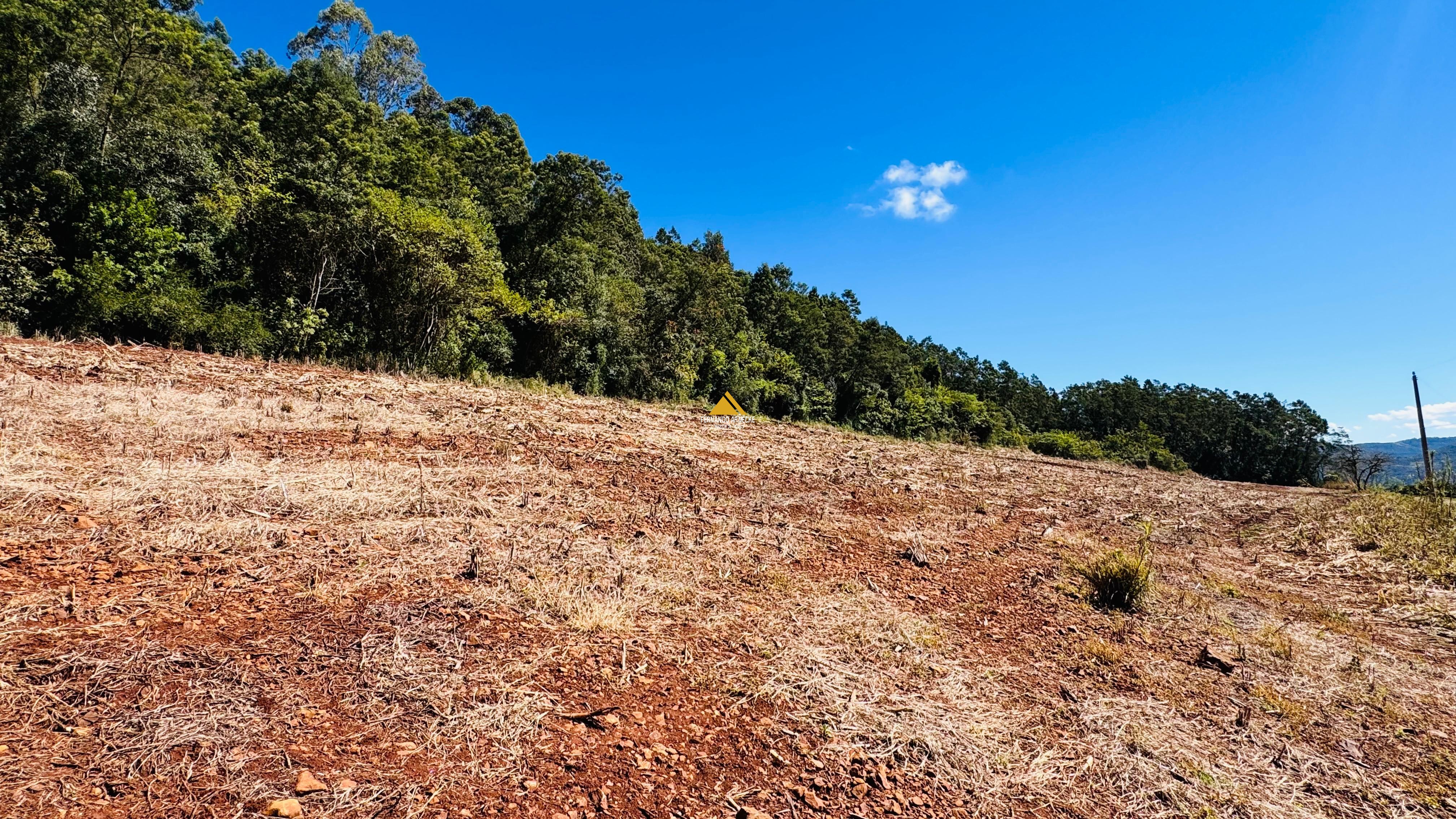 Sítio / Chácara para Venda no bairro Linha Quatro Cantos em Morro Reuter