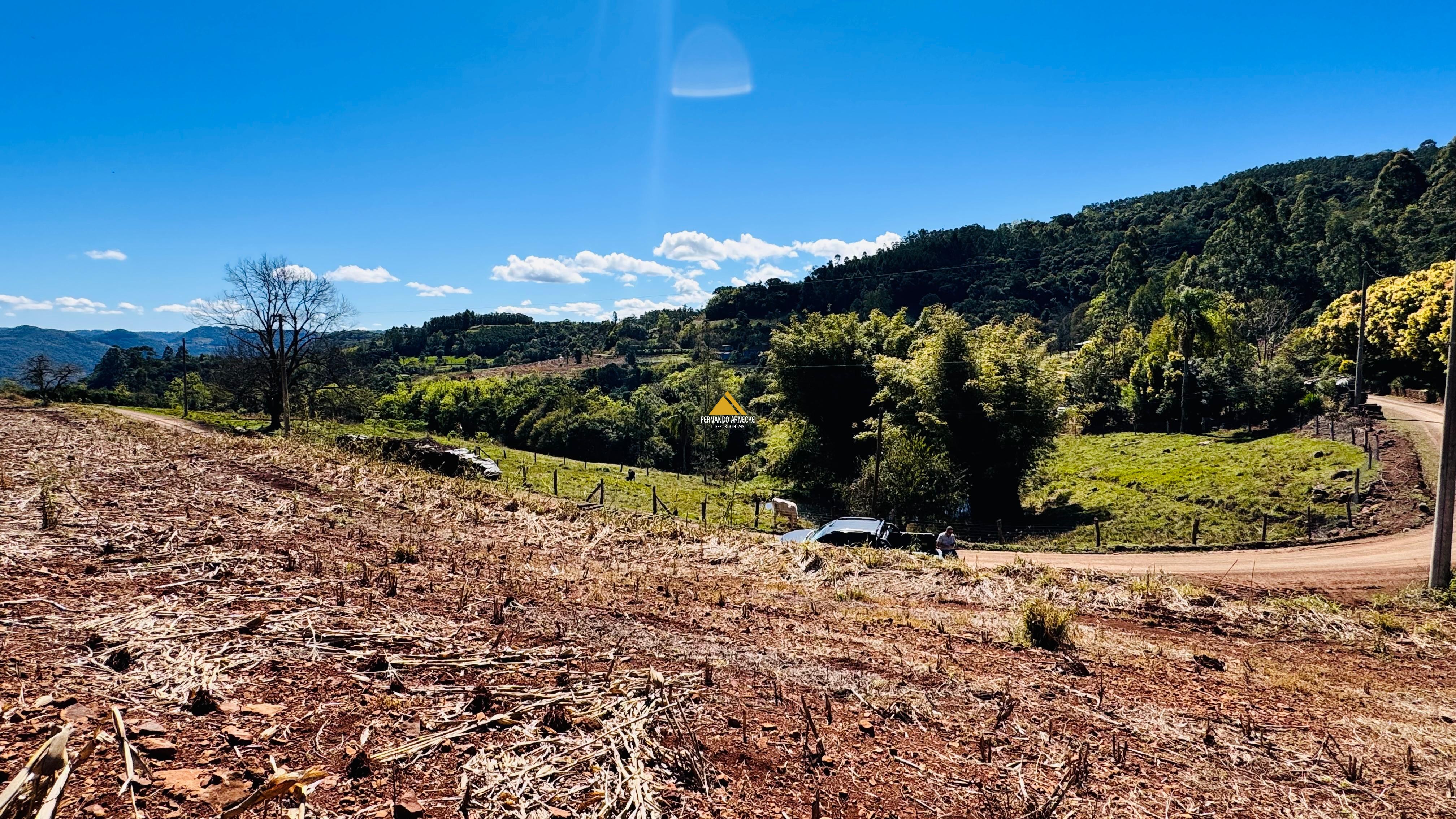Sítio / Chácara para Venda no bairro Linha Quatro Cantos em Morro Reuter