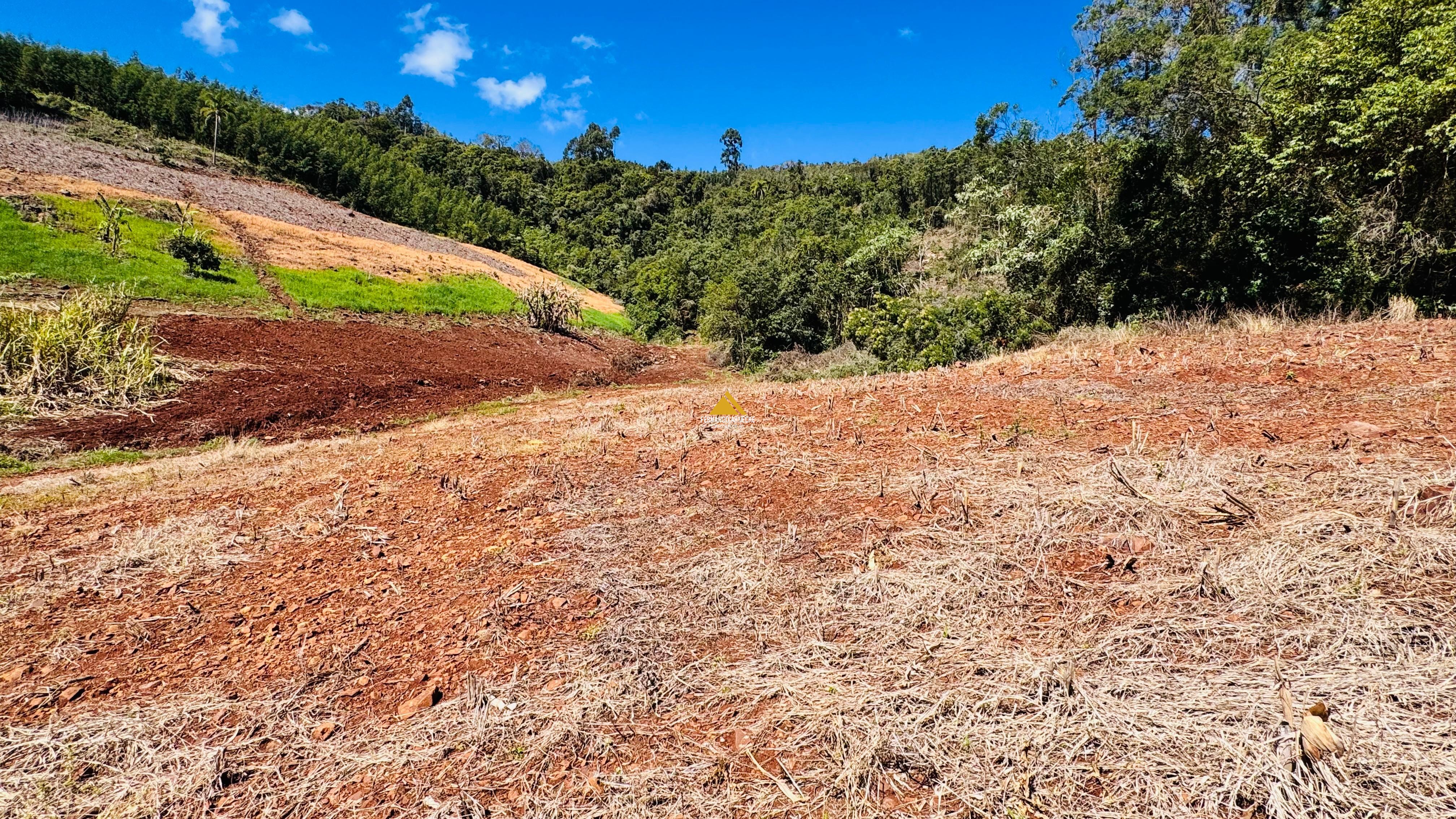Sítio / Chácara para Venda no bairro Linha Quatro Cantos em Morro Reuter