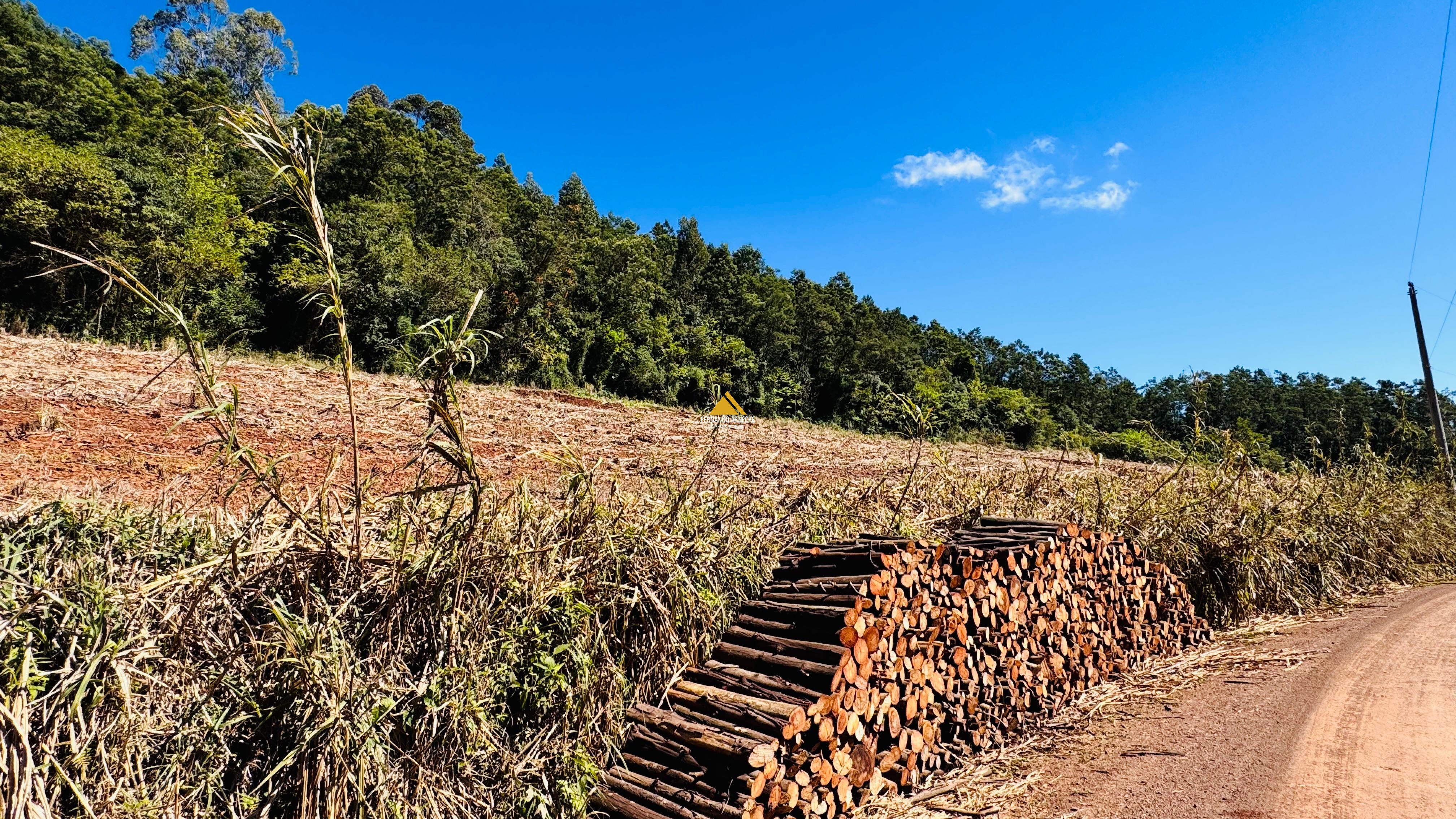 Sítio / Chácara para Venda no bairro Linha Quatro Cantos em Morro Reuter