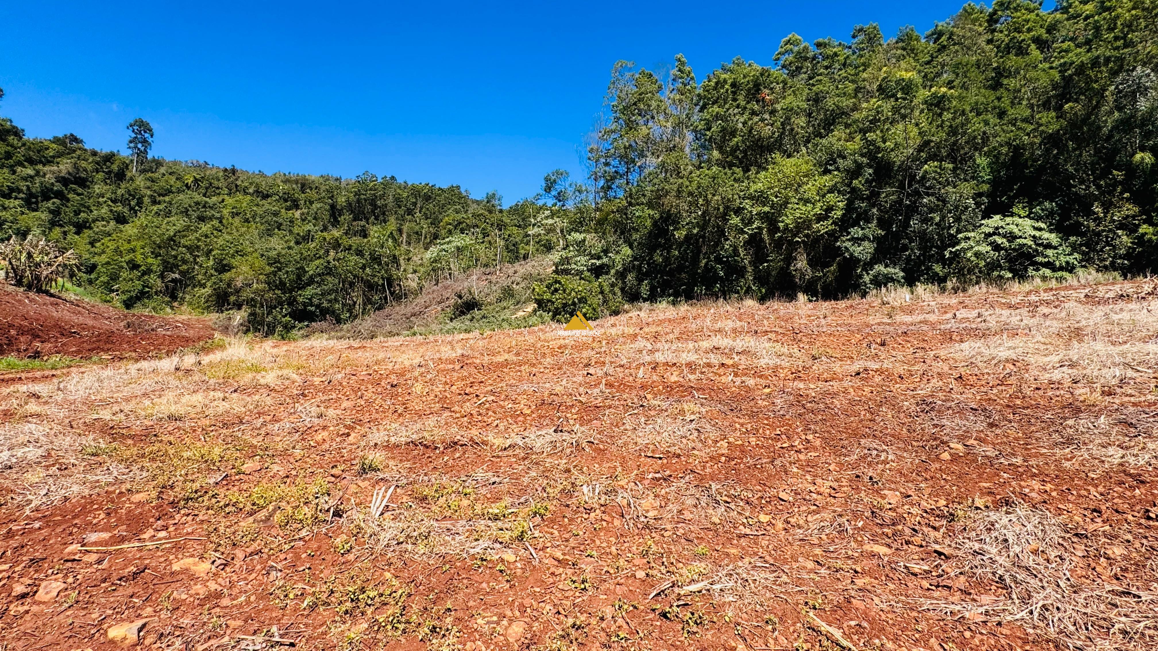 Sítio / Chácara para Venda no bairro Linha Quatro Cantos em Morro Reuter