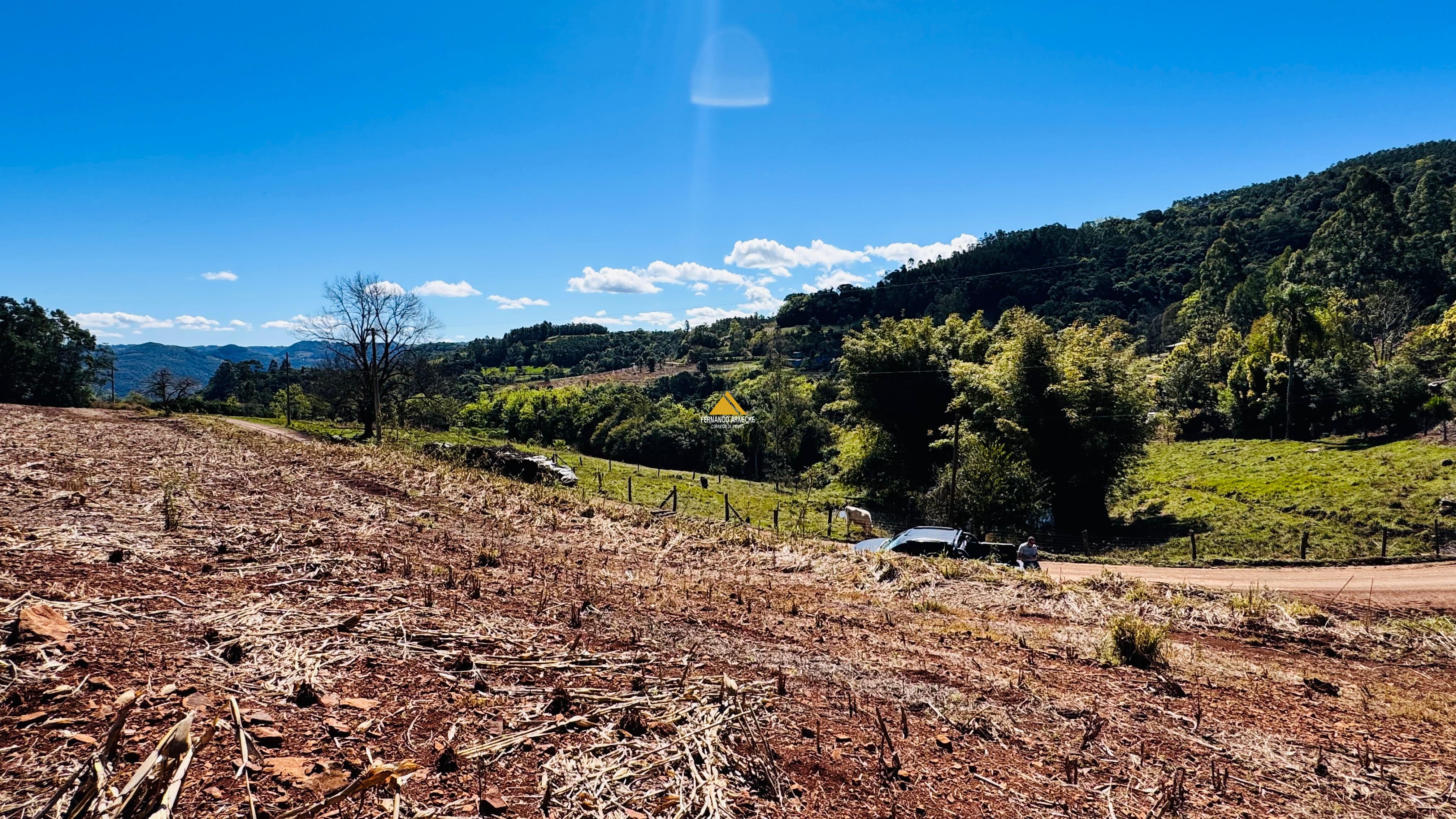 Sítio / Chácara para Venda no bairro Linha Quatro Cantos em Morro Reuter
