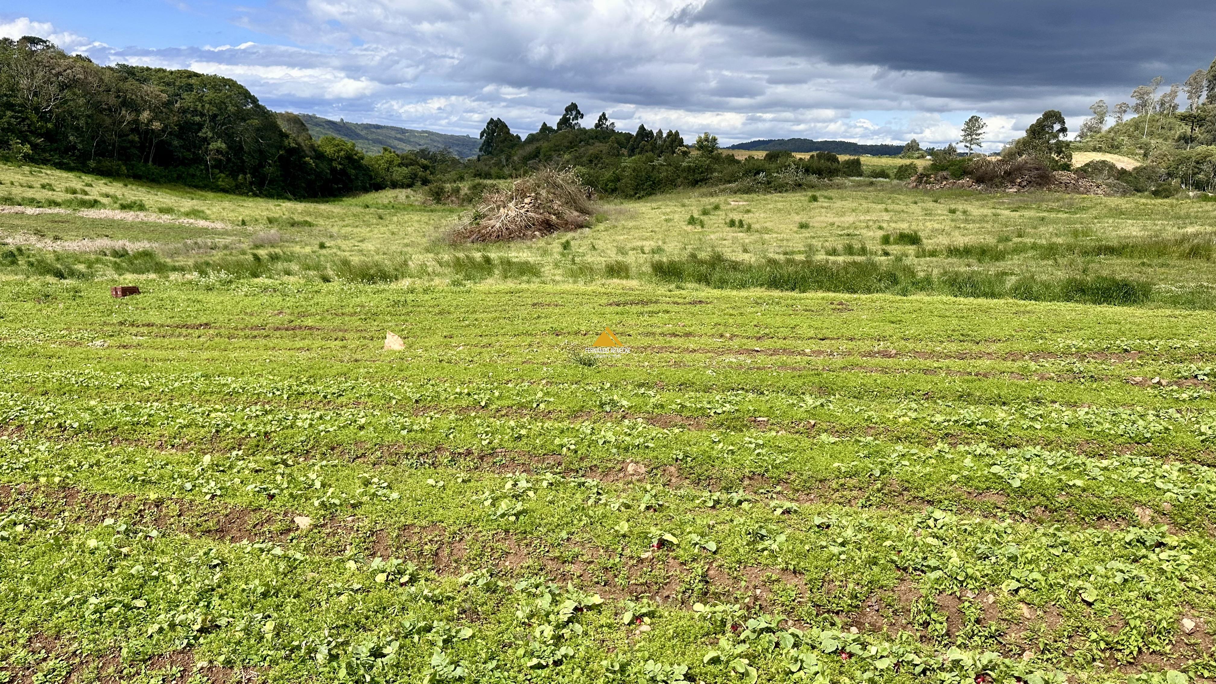 Sítio / Chácara para Venda no bairro Padre Eterno Ilges em Santa Maria do Herval