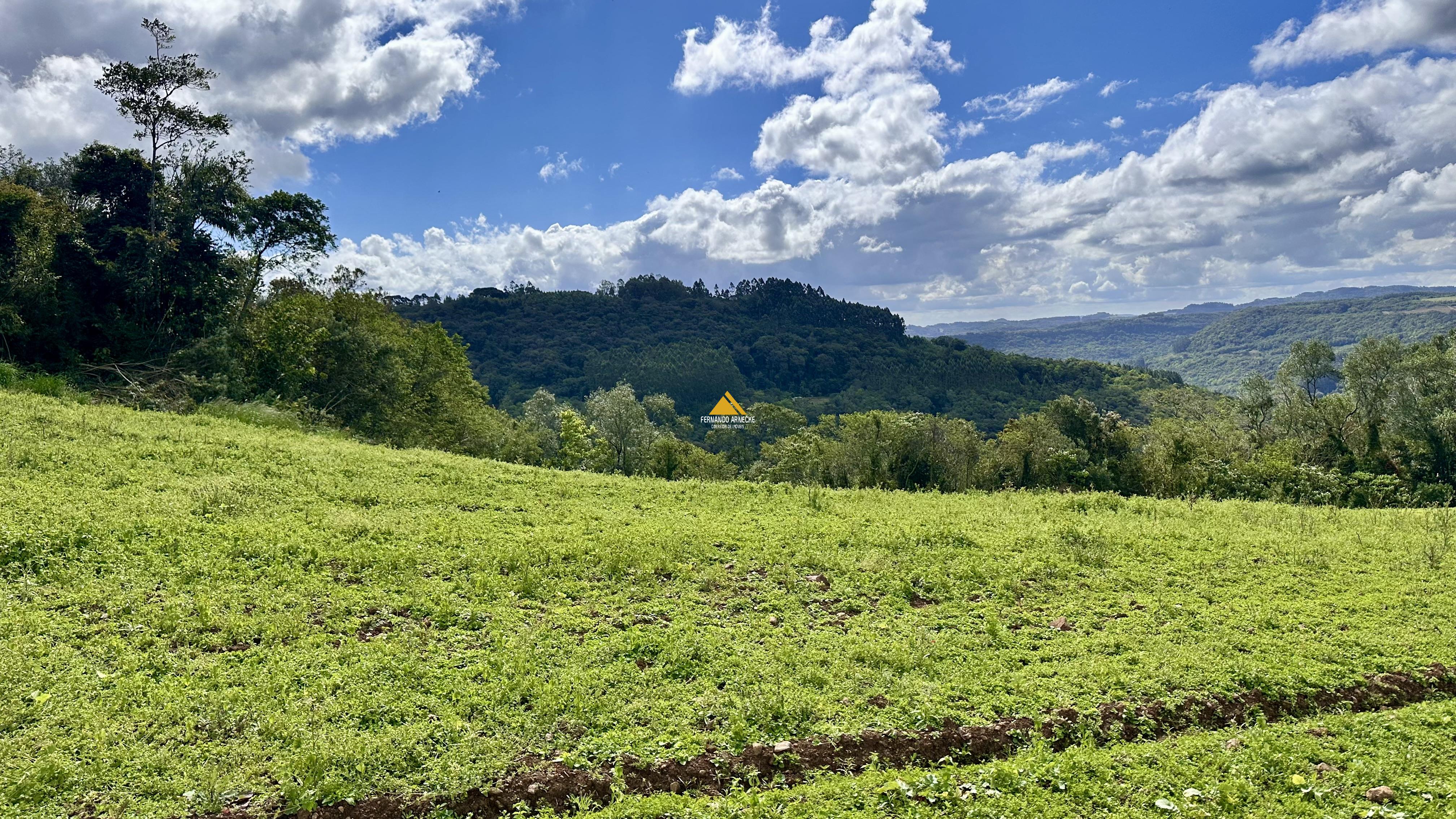 Sítio / Chácara para Venda no bairro Padre Eterno Ilges em Santa Maria do Herval