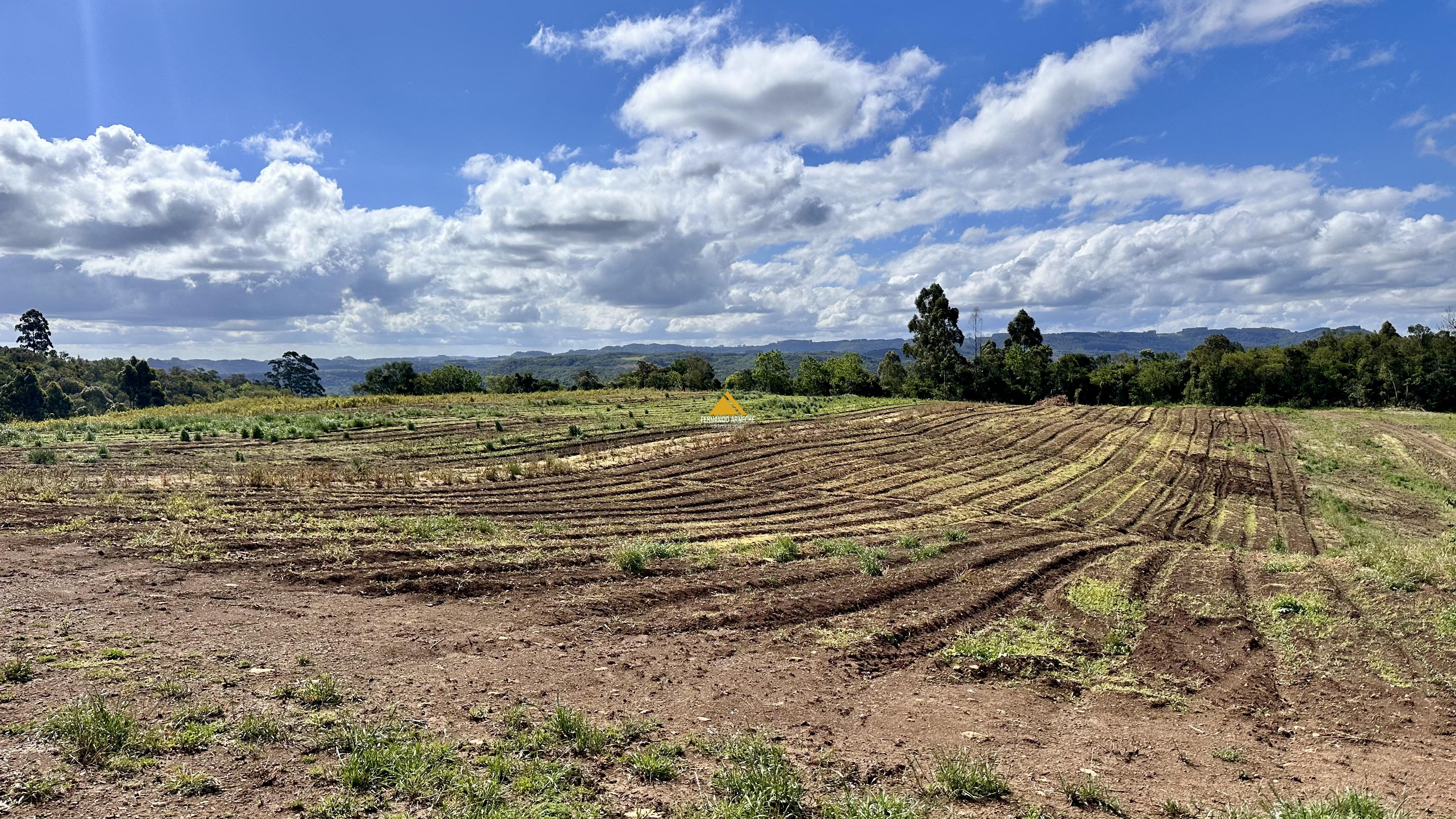 Sítio / Chácara para Venda no bairro Padre Eterno Ilges em Santa Maria do Herval