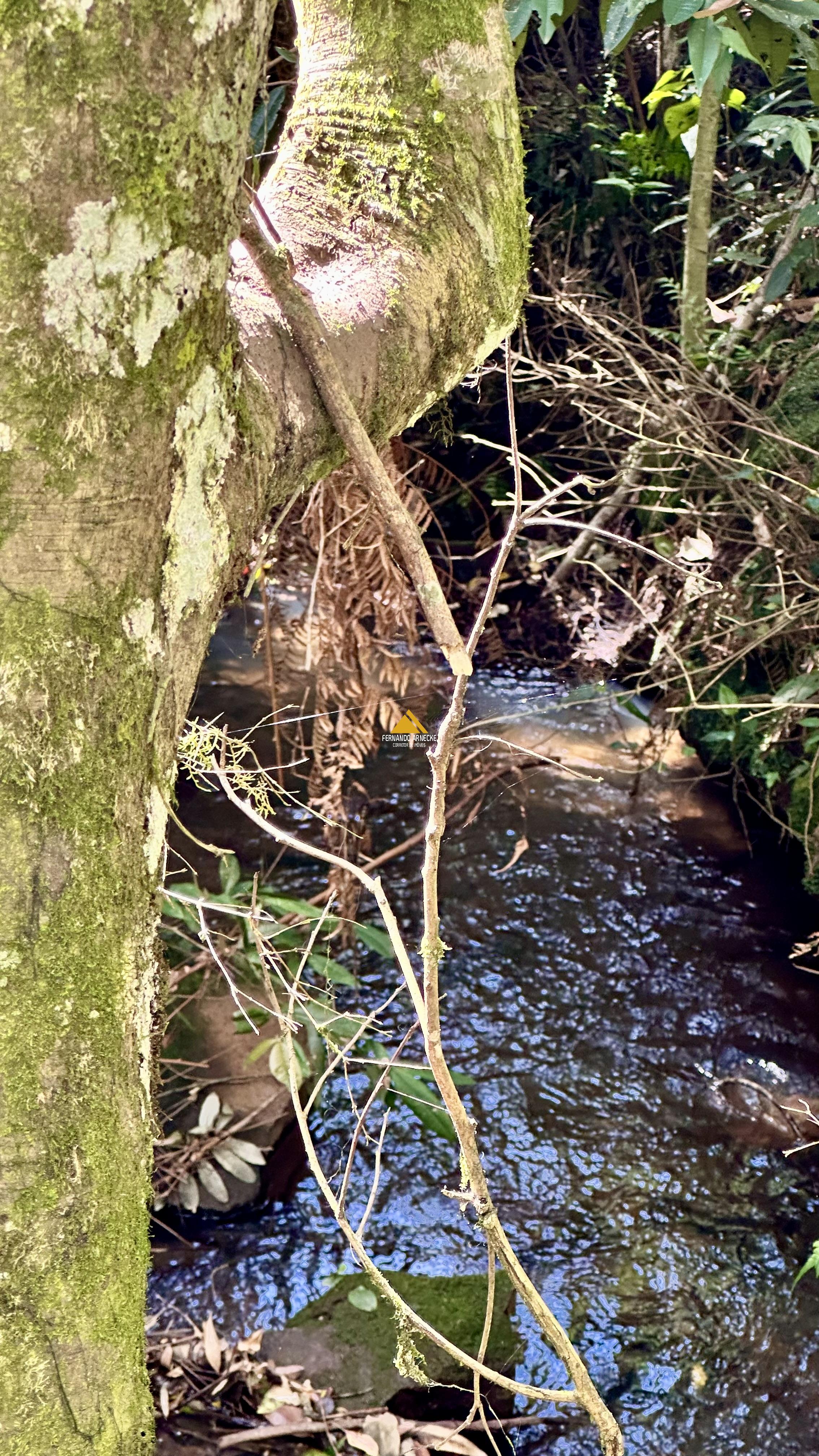Sítio / Chácara para Venda no bairro Padre Eterno Ilges em Santa Maria do Herval