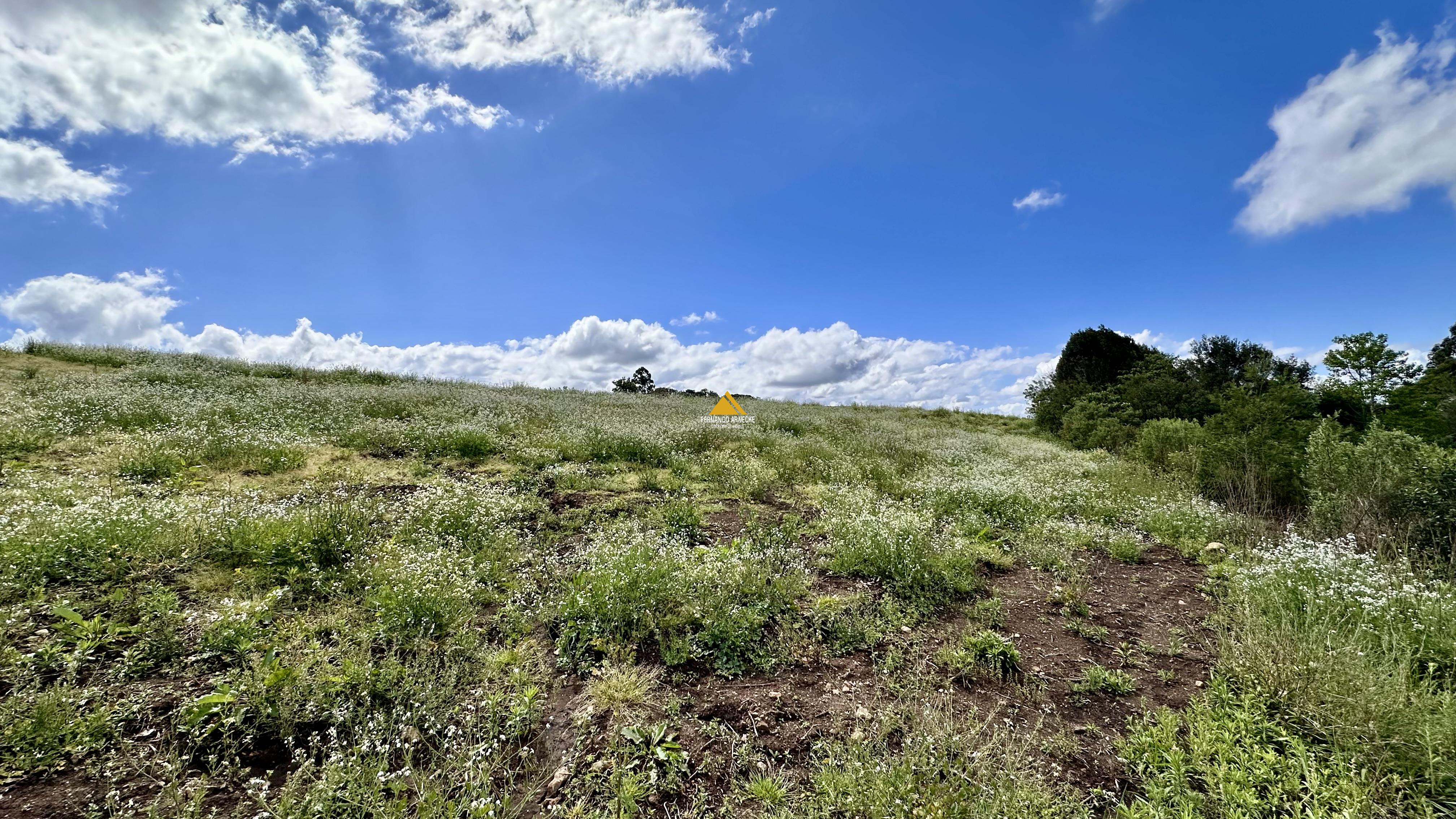 Sítio / Chácara para Venda no bairro Padre Eterno Ilges em Santa Maria do Herval
