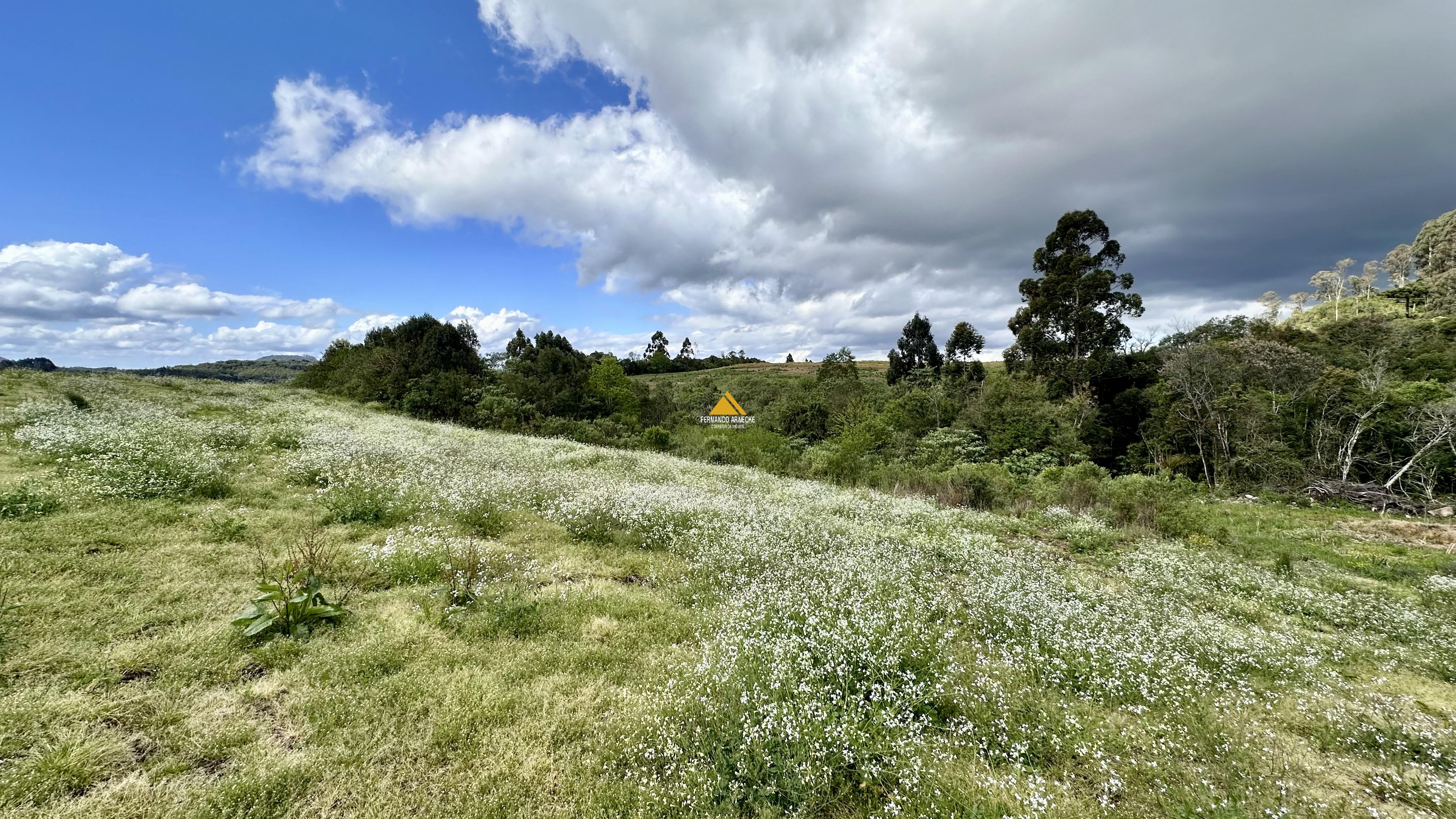 Sítio / Chácara para Venda no bairro Padre Eterno Ilges em Santa Maria do Herval