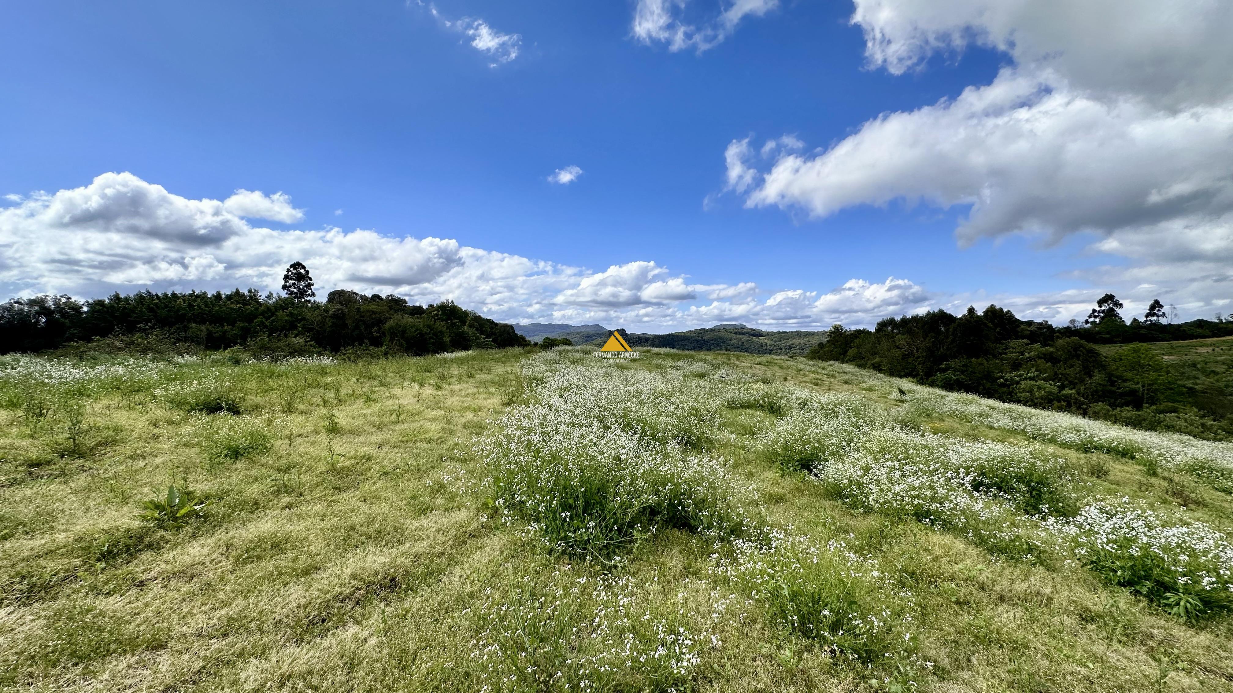 Sítio / Chácara para Venda no bairro Padre Eterno Ilges em Santa Maria do Herval
