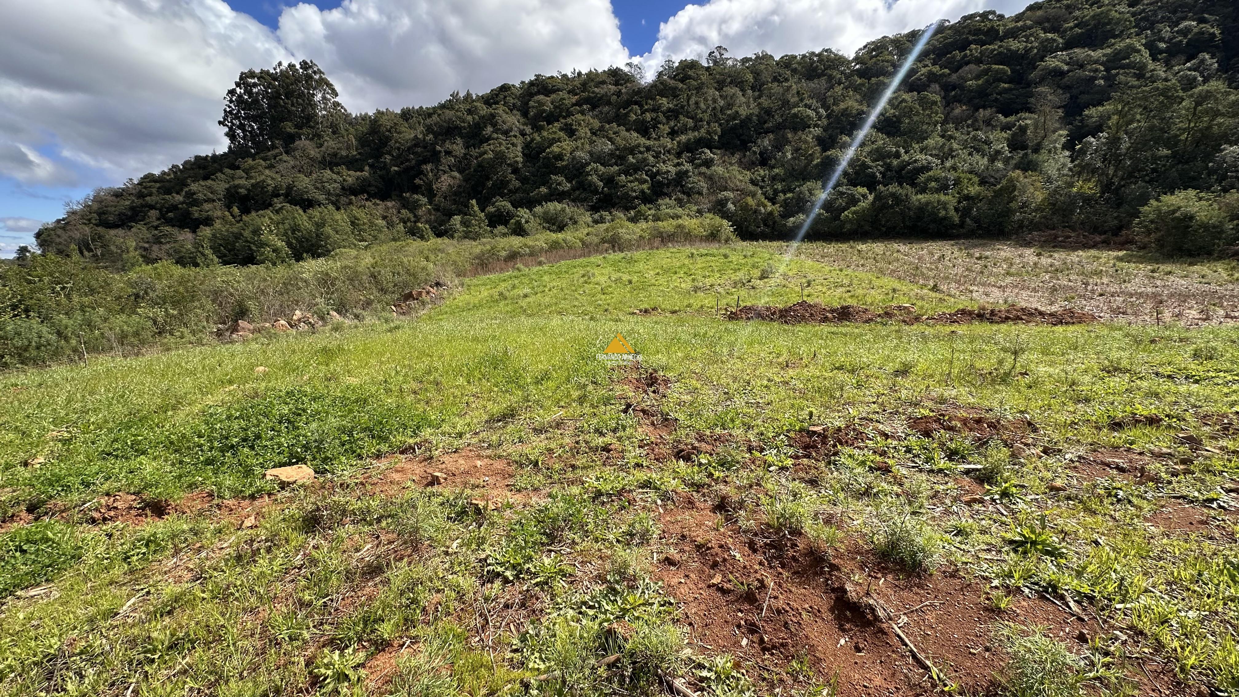 Sítio / Chácara para Venda no bairro Alto Padre Eterno em Santa Maria do Herval
