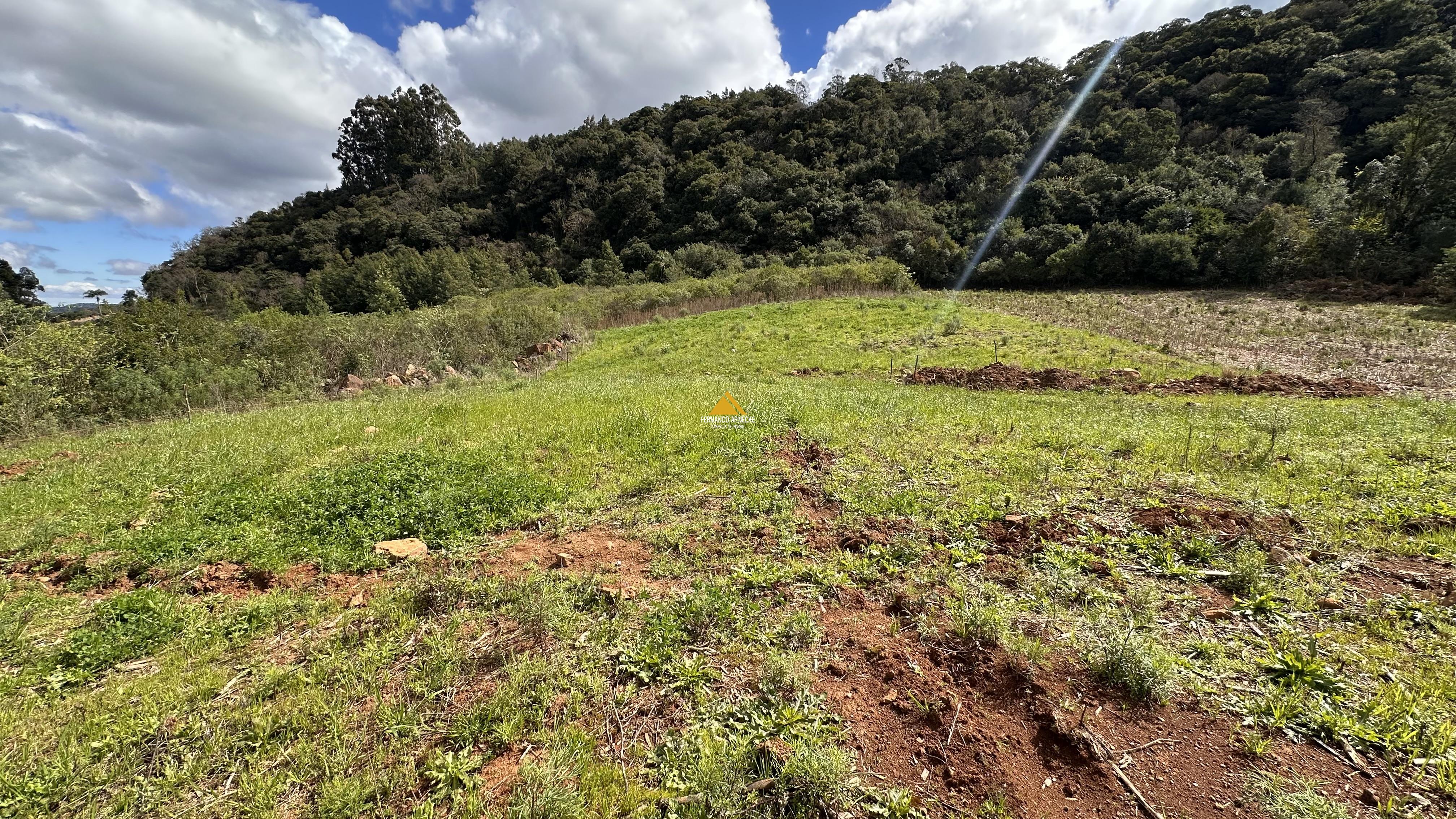 Sítio / Chácara para Venda no bairro Alto Padre Eterno em Santa Maria do Herval