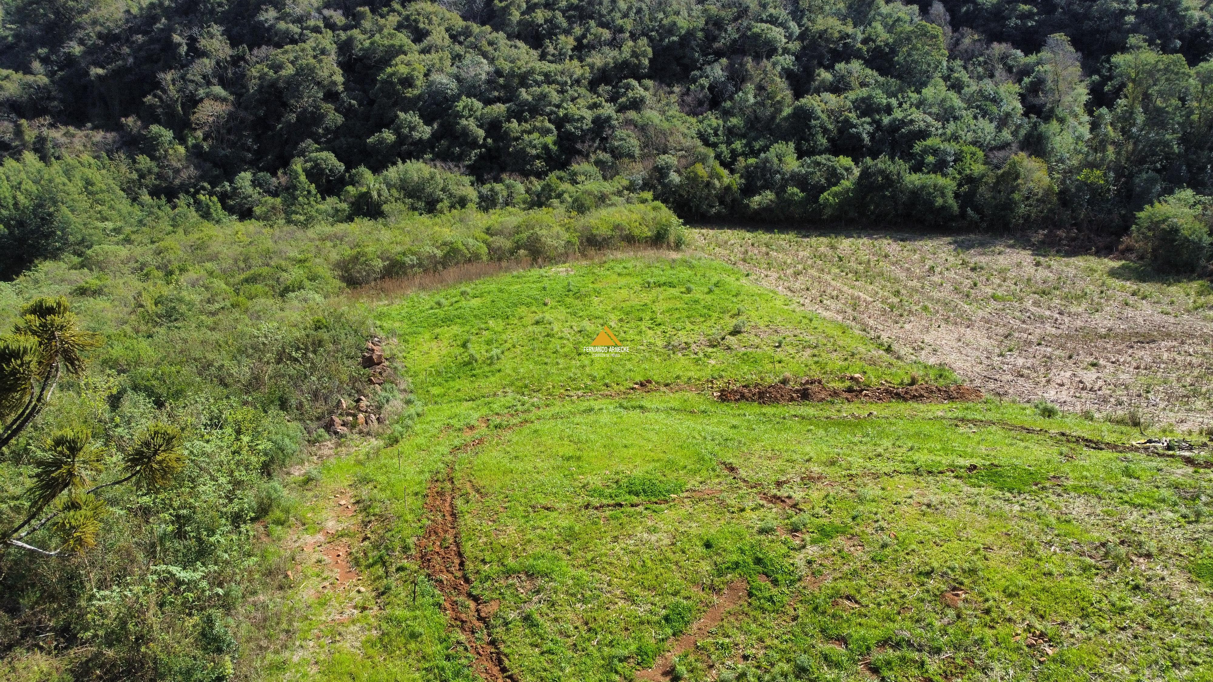 Sítio / Chácara para Venda no bairro Alto Padre Eterno em Santa Maria do Herval