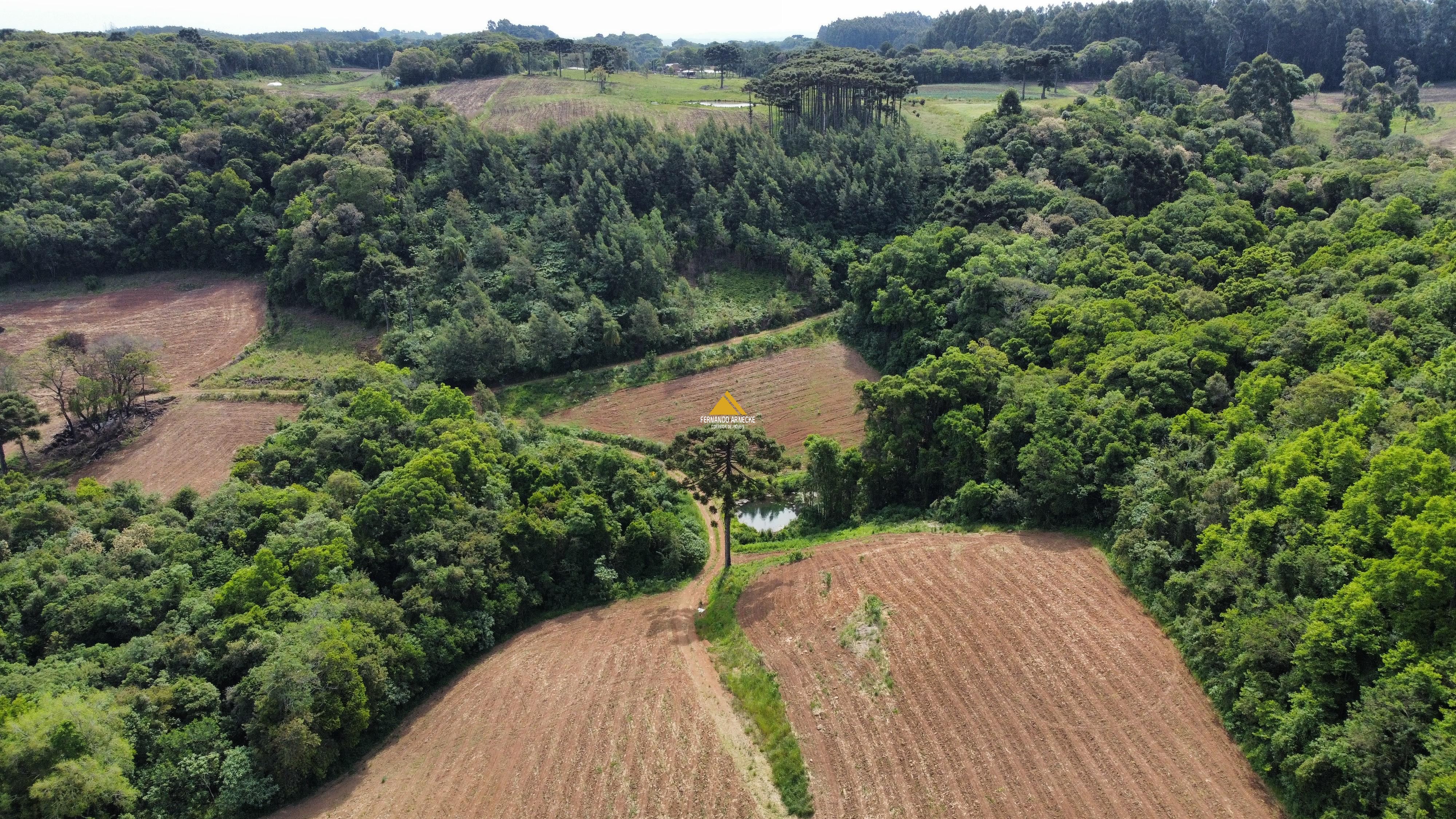Sítio / Chácara 2 quartos para Venda no bairro Boa Vista do Herval em Santa Maria do Herval