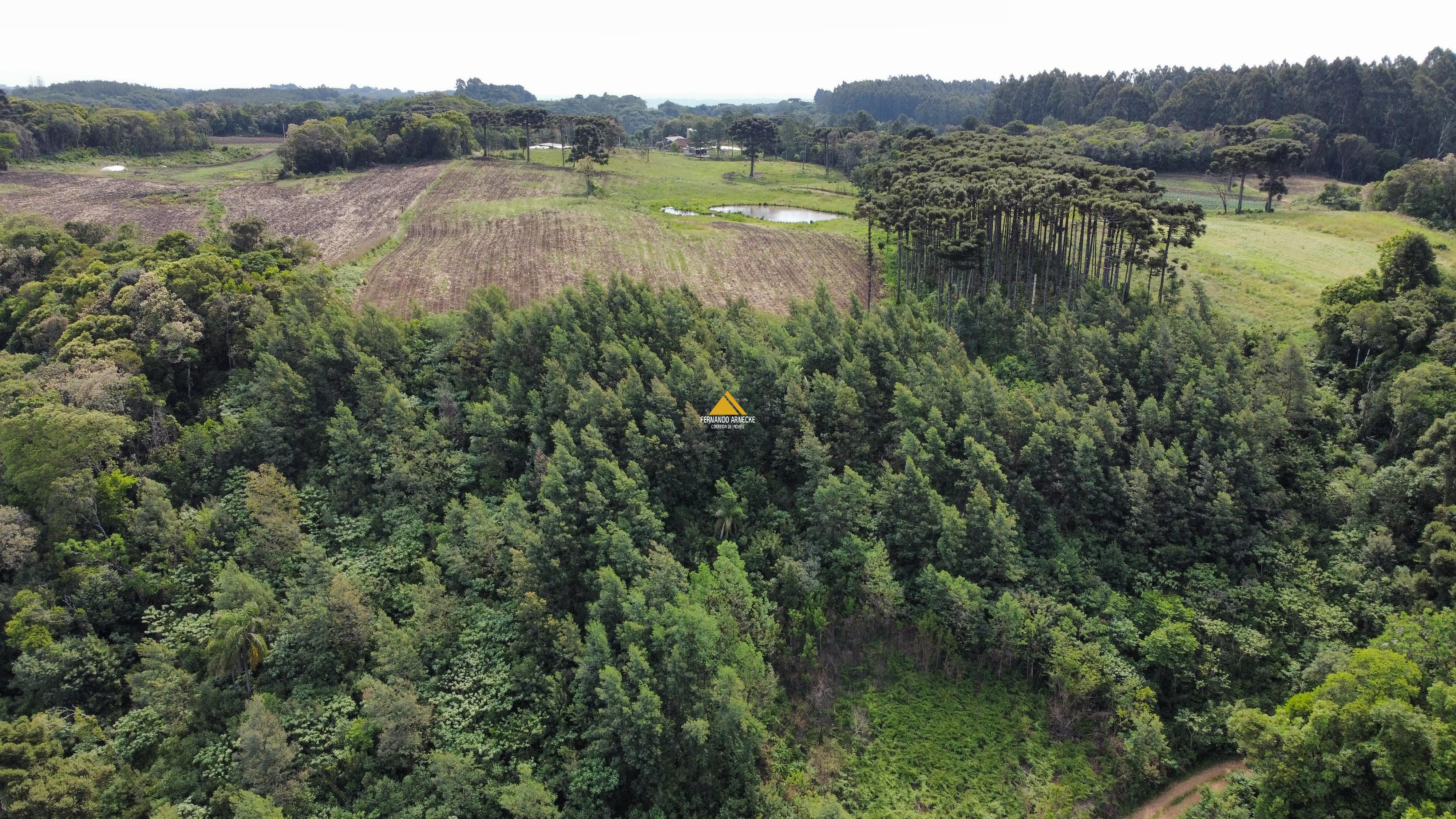 Sítio / Chácara 2 quartos para Venda no bairro Boa Vista do Herval em Santa Maria do Herval