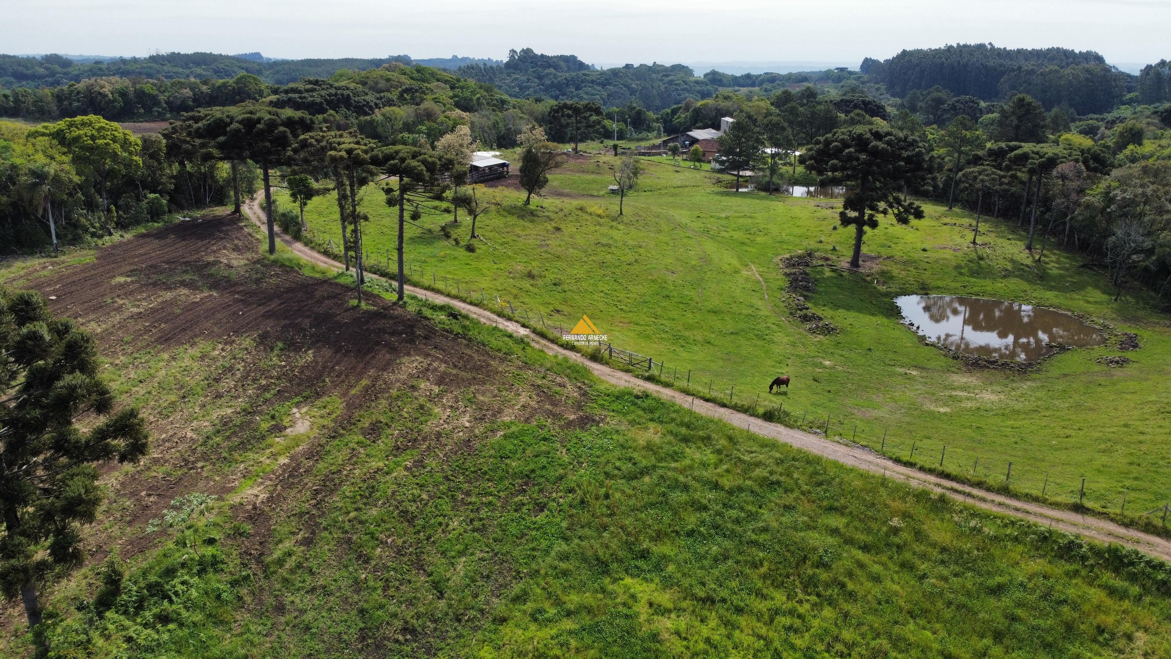 Sítio / Chácara 2 quartos para Venda no bairro Boa Vista do Herval em Santa Maria do Herval