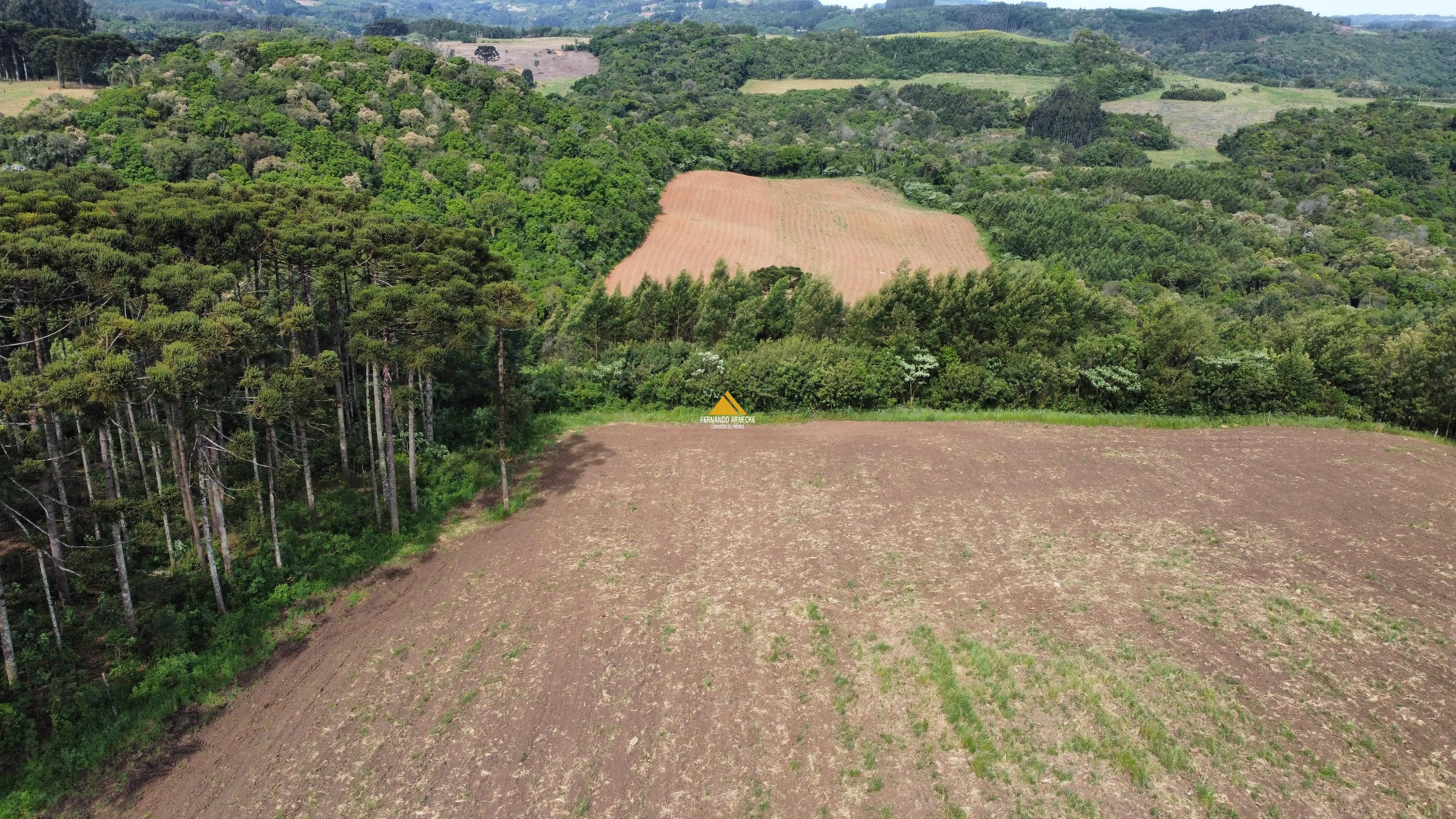 Sítio / Chácara 2 quartos para Venda no bairro Boa Vista do Herval em Santa Maria do Herval