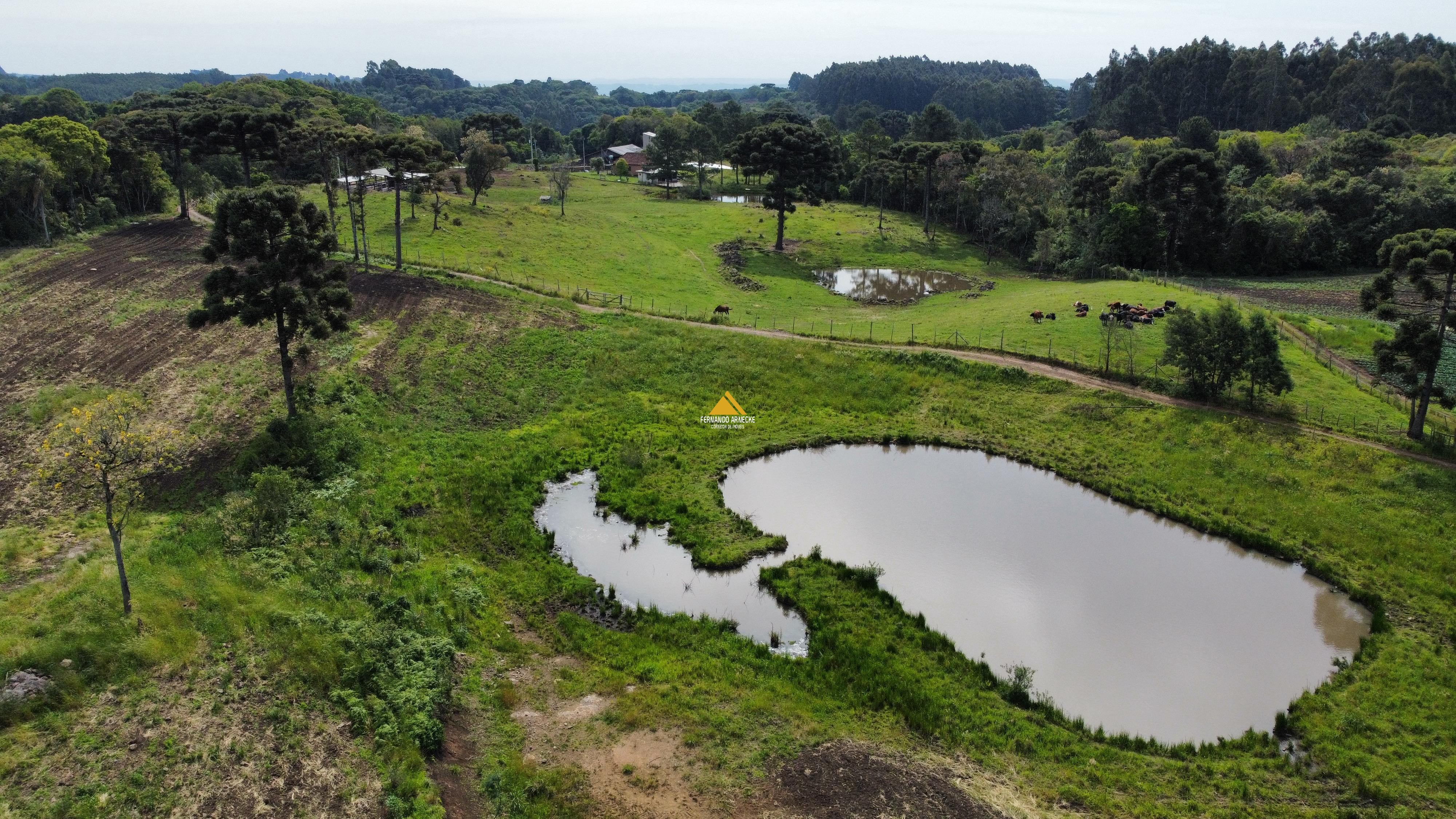 Sítio / Chácara 2 quartos para Venda no bairro Boa Vista do Herval em Santa Maria do Herval