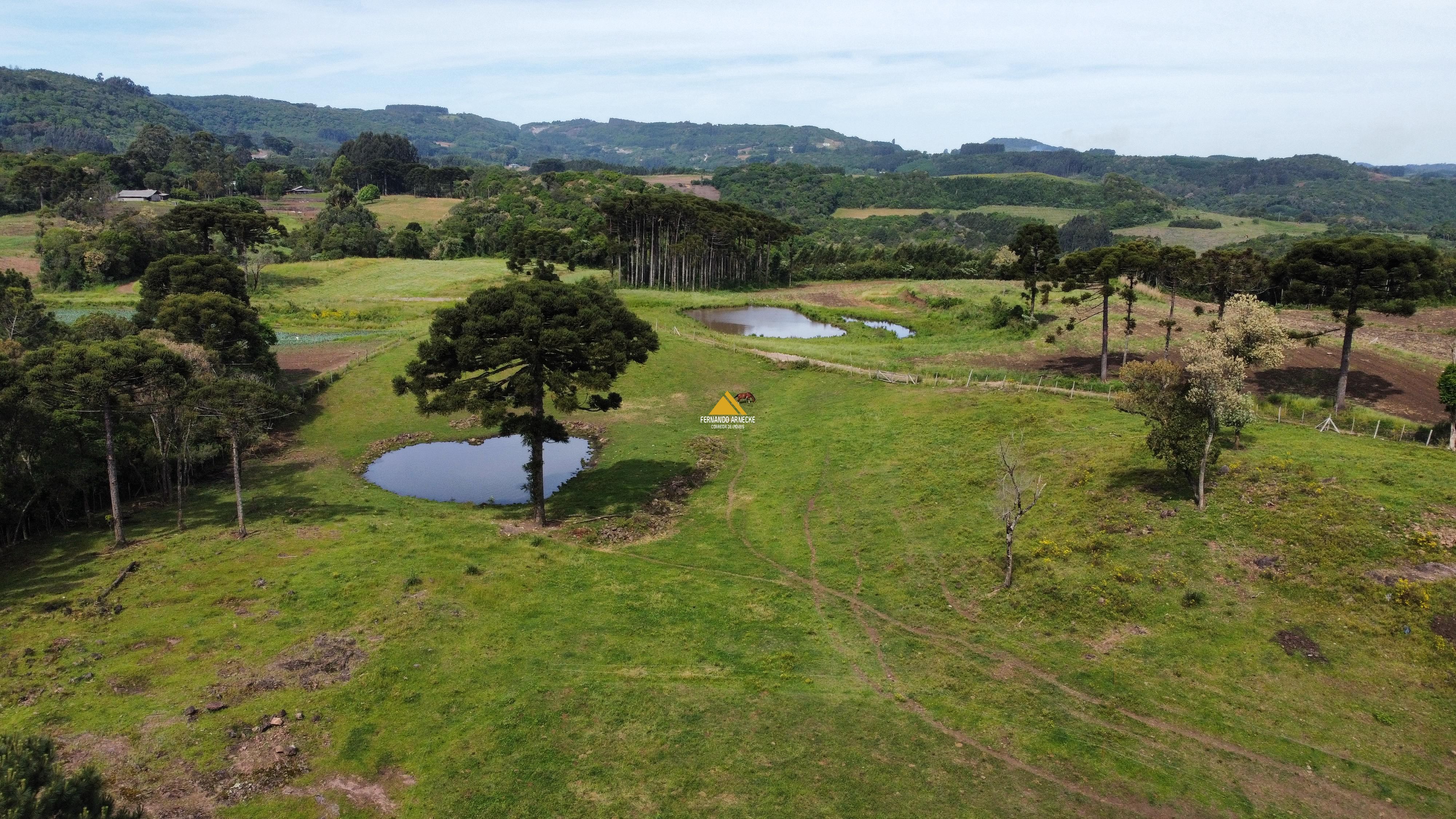Sítio / Chácara 2 quartos para Venda no bairro Boa Vista do Herval em Santa Maria do Herval