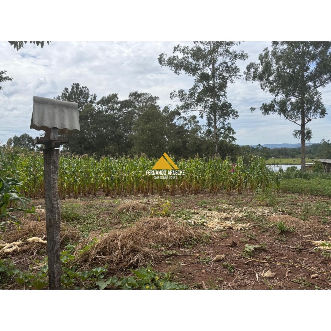 Sítio / Chácara 3 quartos para Venda no bairro Zona Rural em Sapiranga