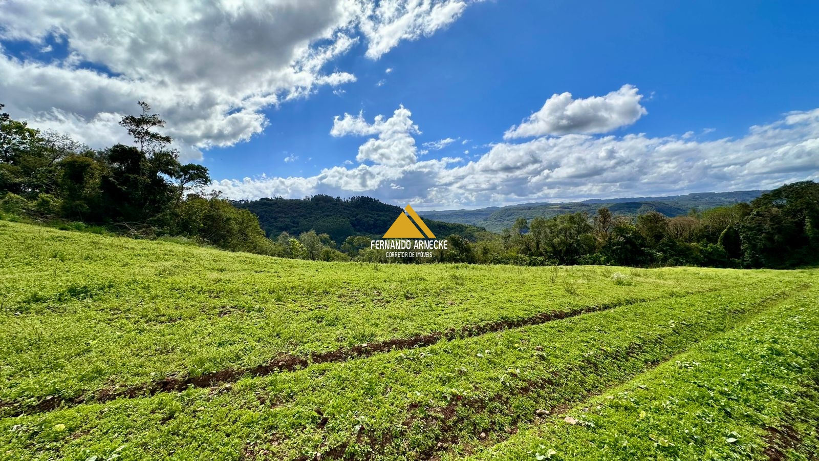 Área 4,5 Hectares em Santa Maria do Herval | Plana + Riacho + Vista | Oportunidade