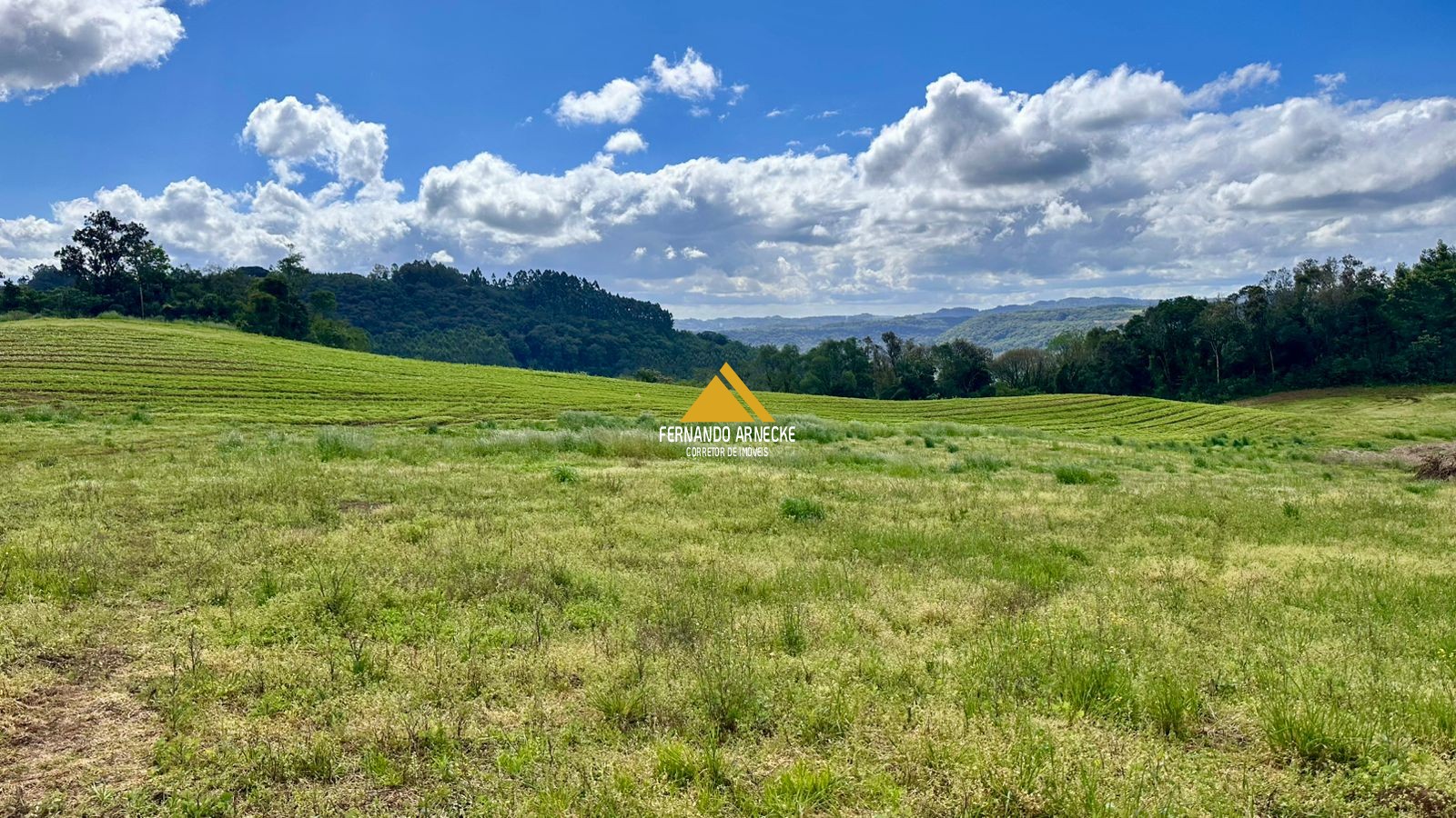 Área 4,5 Hectares em Santa Maria do Herval | Plana + Riacho + Vista | Oportunidade