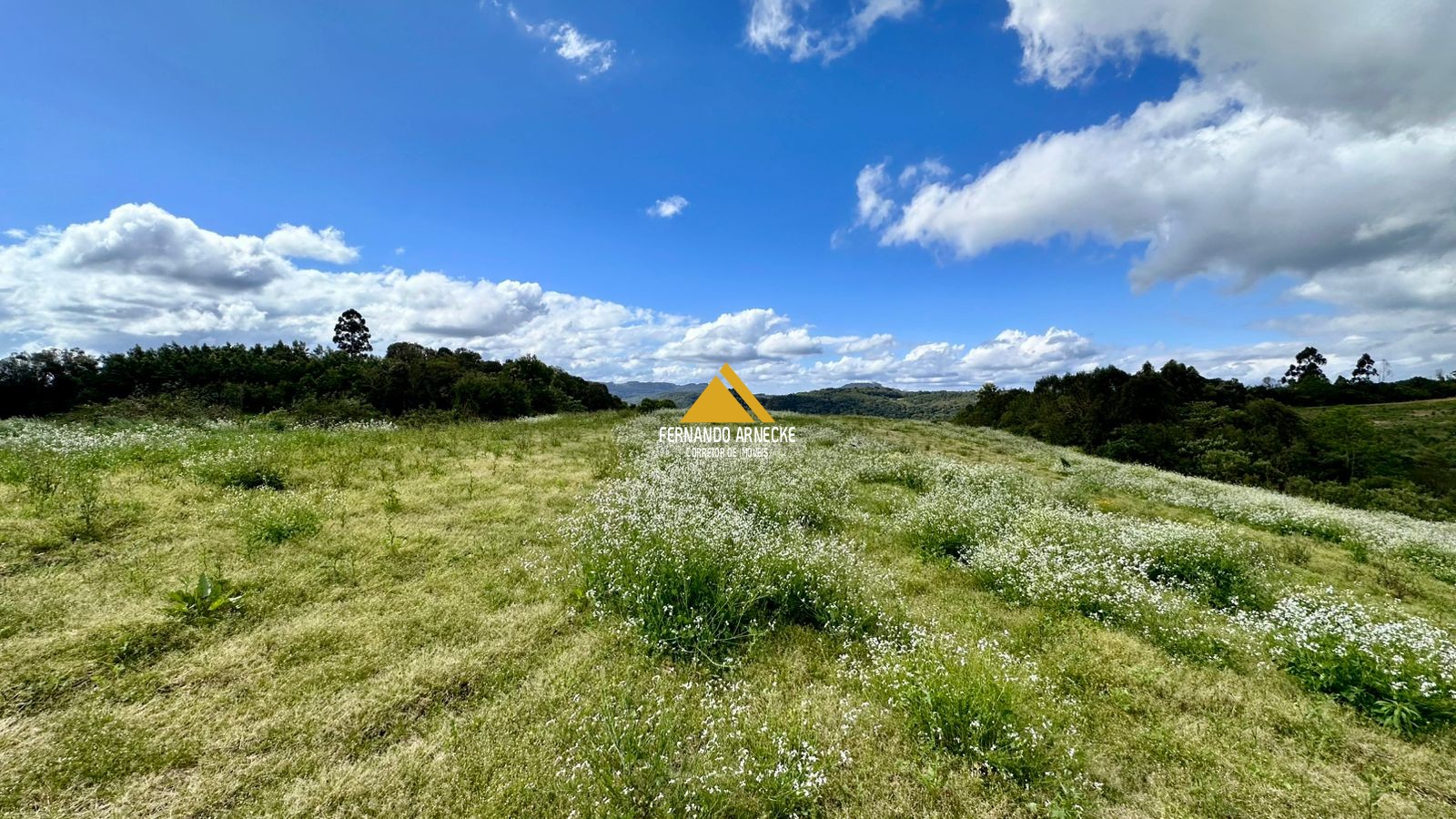 Área 4,5 Hectares em Santa Maria do Herval | Plana + Riacho + Vista | Oportunidade