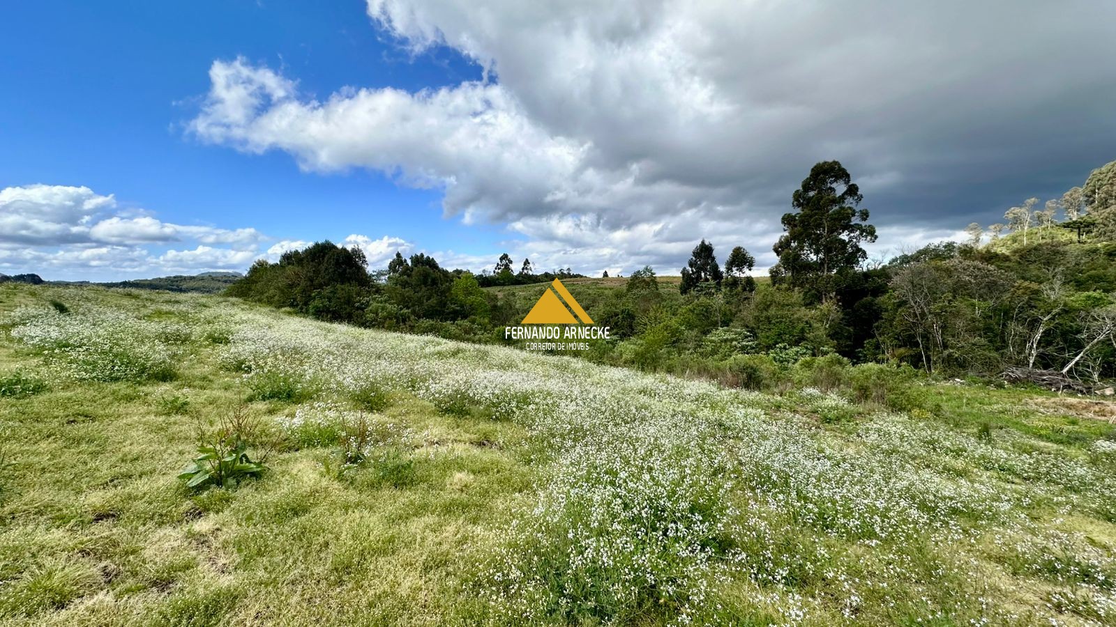 Área 4,5 Hectares em Santa Maria do Herval | Plana + Riacho + Vista | Oportunidade