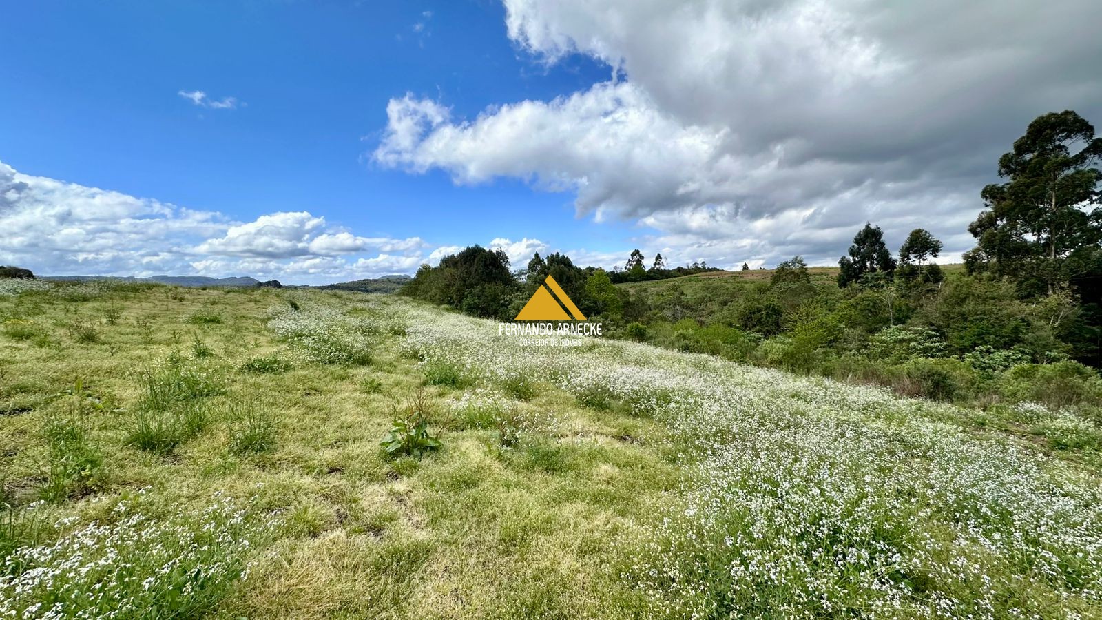 Área 4,5 Hectares em Santa Maria do Herval | Plana + Riacho + Vista | Oportunidade