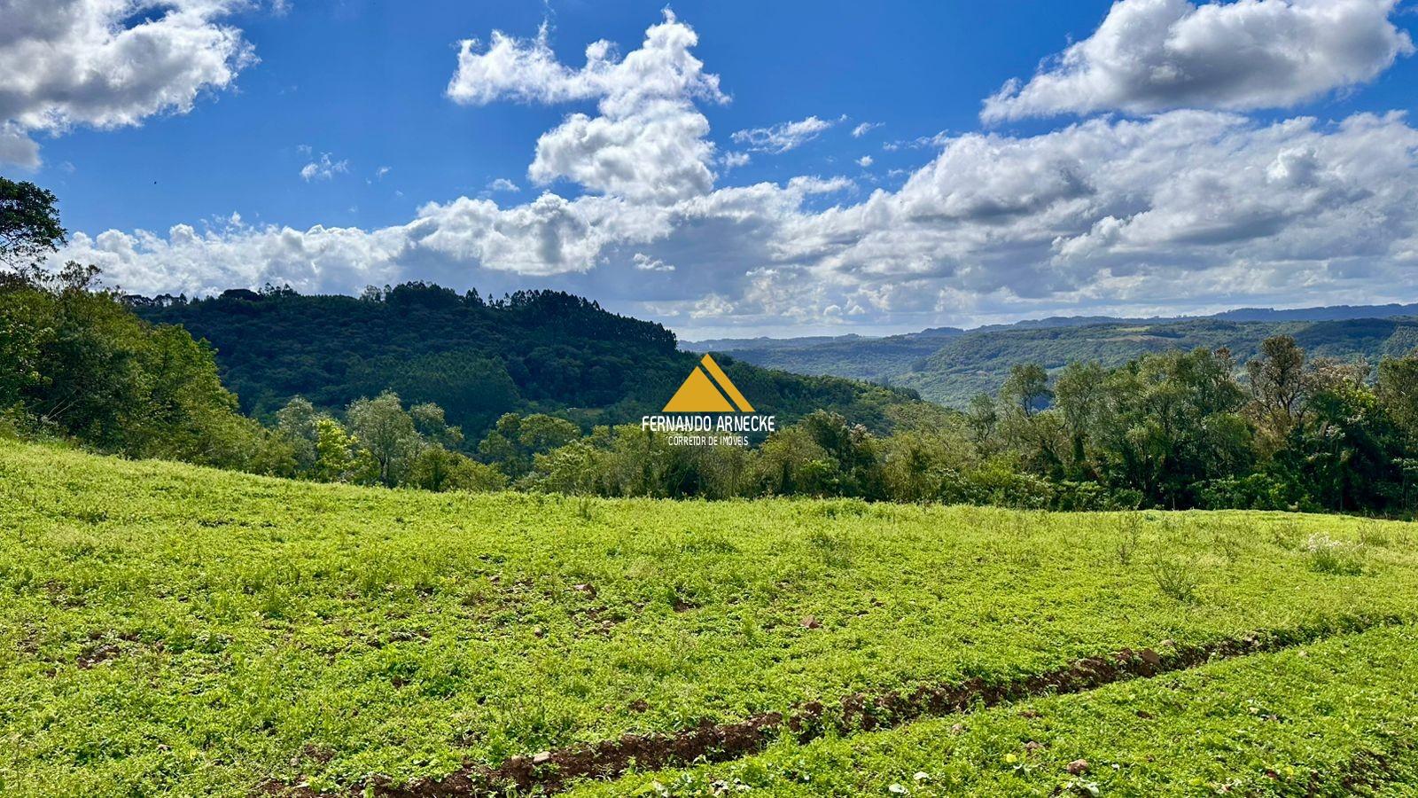 Área 4,5 Hectares em Santa Maria do Herval | Plana + Riacho + Vista | Oportunidade