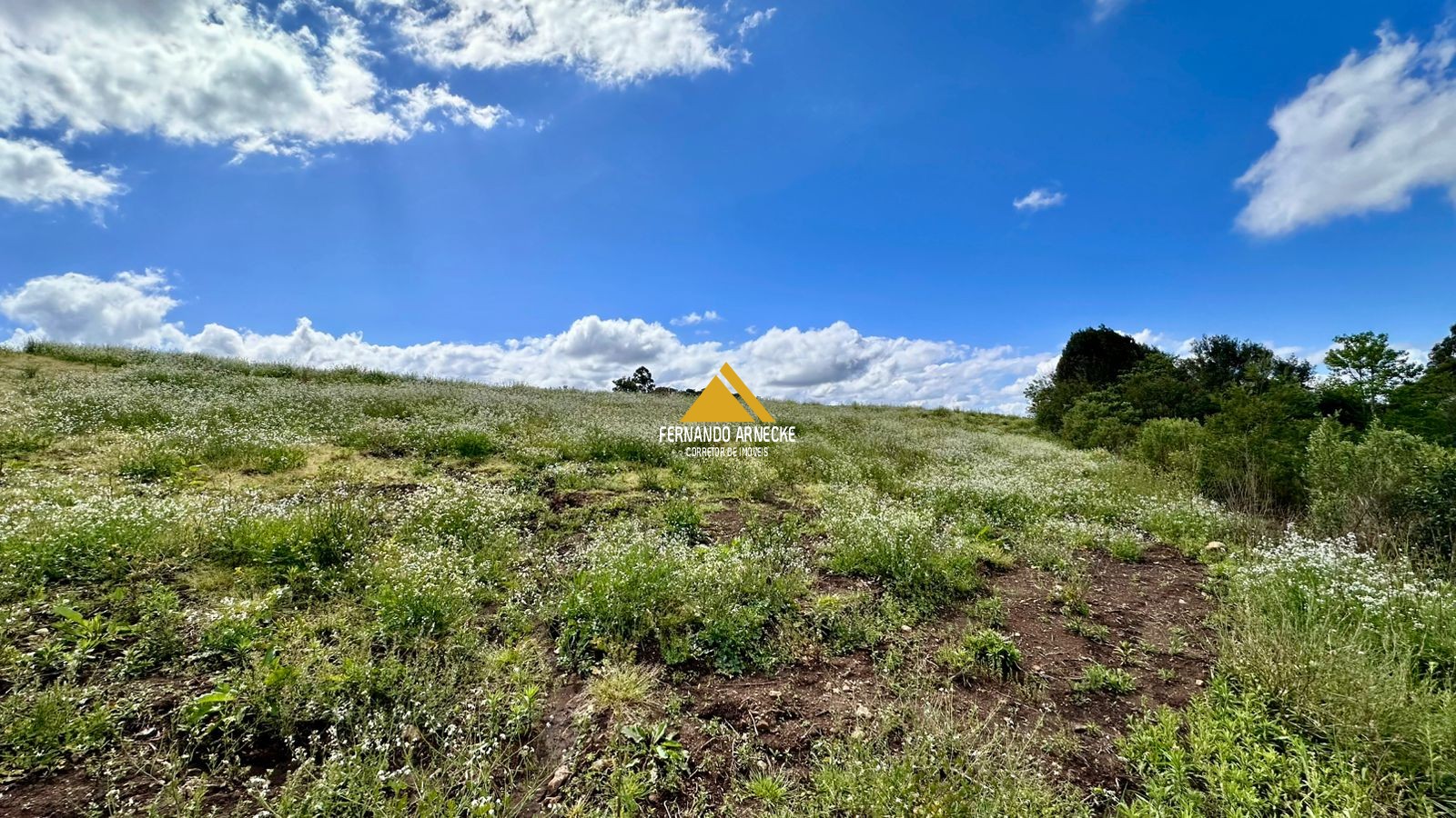 Área 4,5 Hectares em Santa Maria do Herval | Plana + Riacho + Vista | Oportunidade