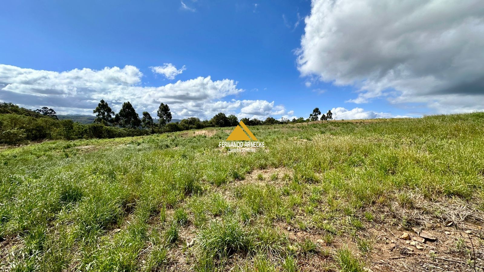 Área 4,5 Hectares em Santa Maria do Herval | Plana + Riacho + Vista | Oportunidade