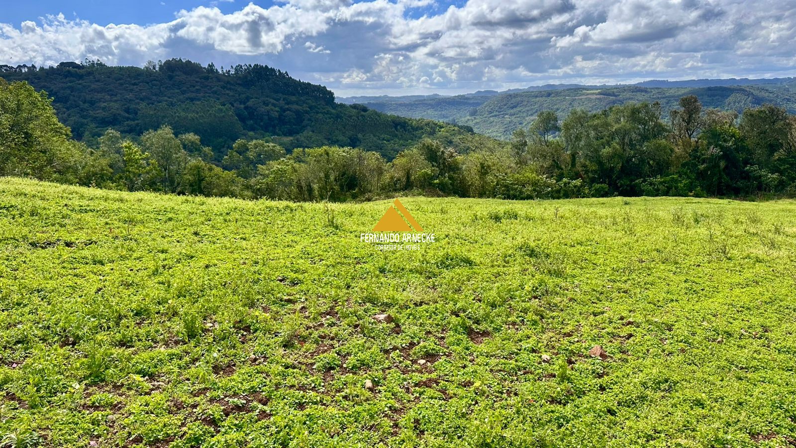 Área 4,5 Hectares em Santa Maria do Herval | Plana + Riacho + Vista | Oportunidade