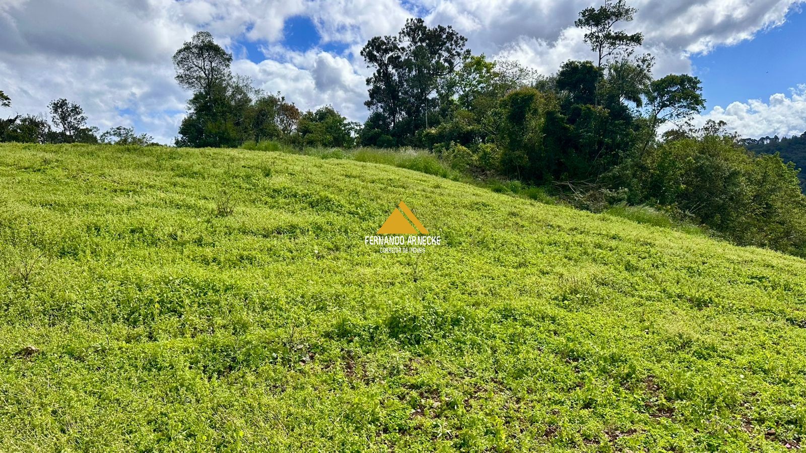 Área 4,5 Hectares em Santa Maria do Herval | Plana + Riacho + Vista | Oportunidade