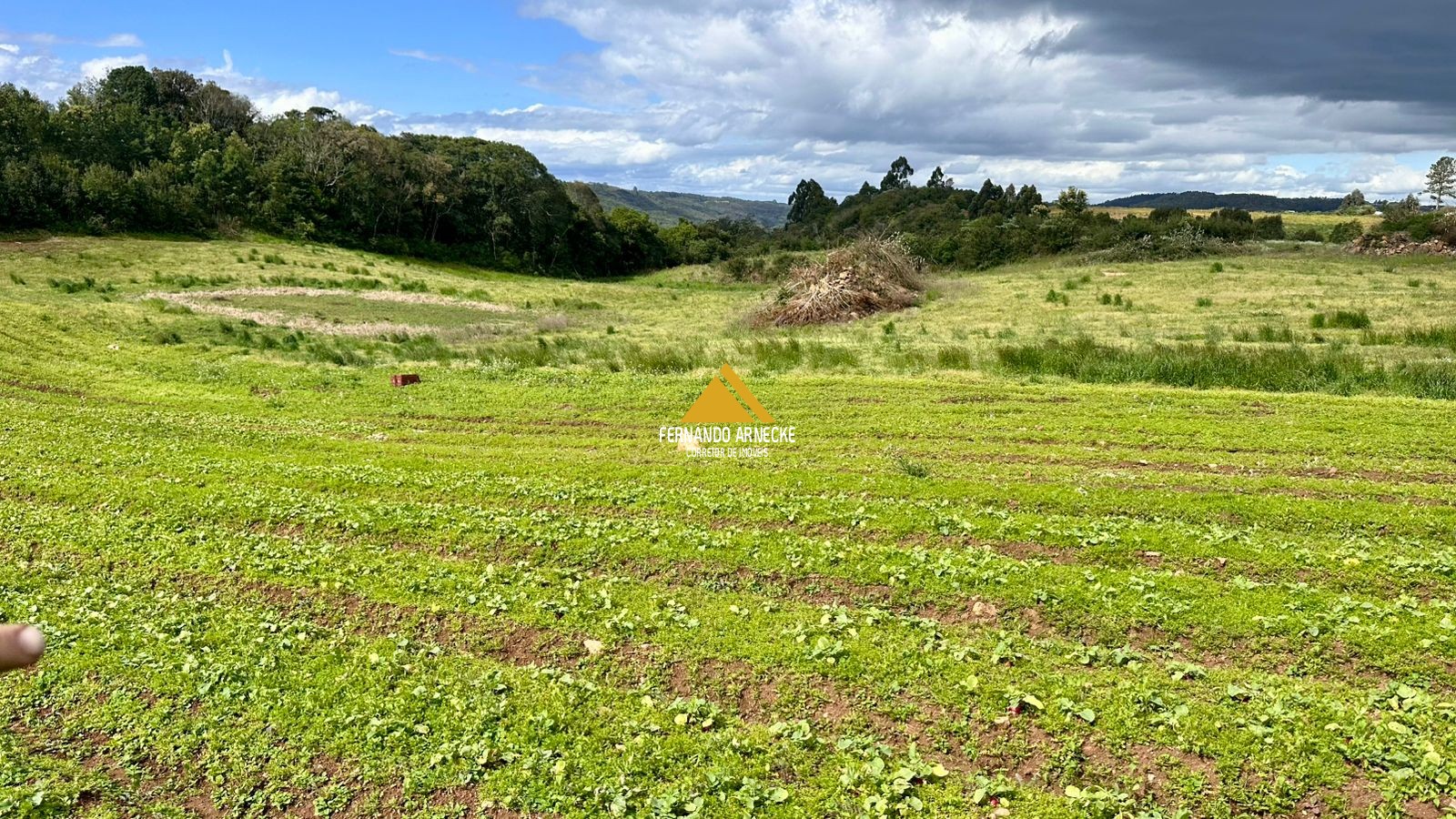 Área 4,5 Hectares em Santa Maria do Herval | Plana + Riacho + Vista | Oportunidade