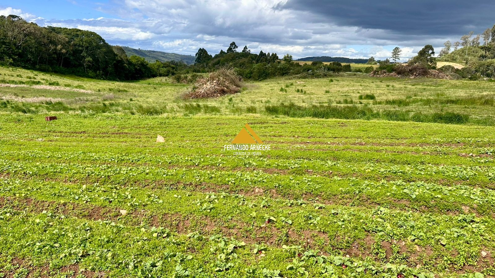 Área 4,5 Hectares em Santa Maria do Herval | Plana + Riacho + Vista | Oportunidade