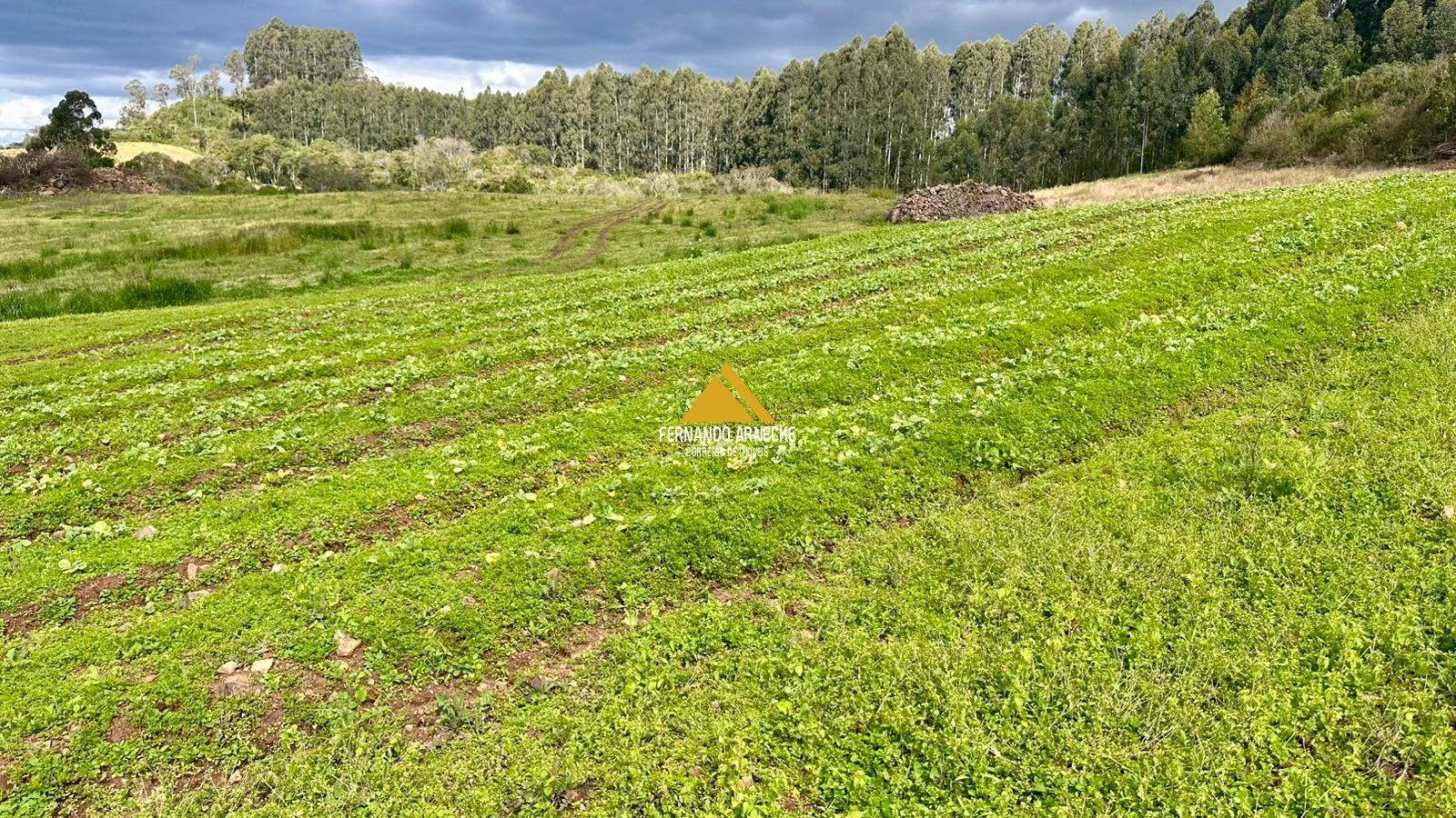 Área 4,5 Hectares em Santa Maria do Herval | Plana + Riacho + Vista | Oportunidade