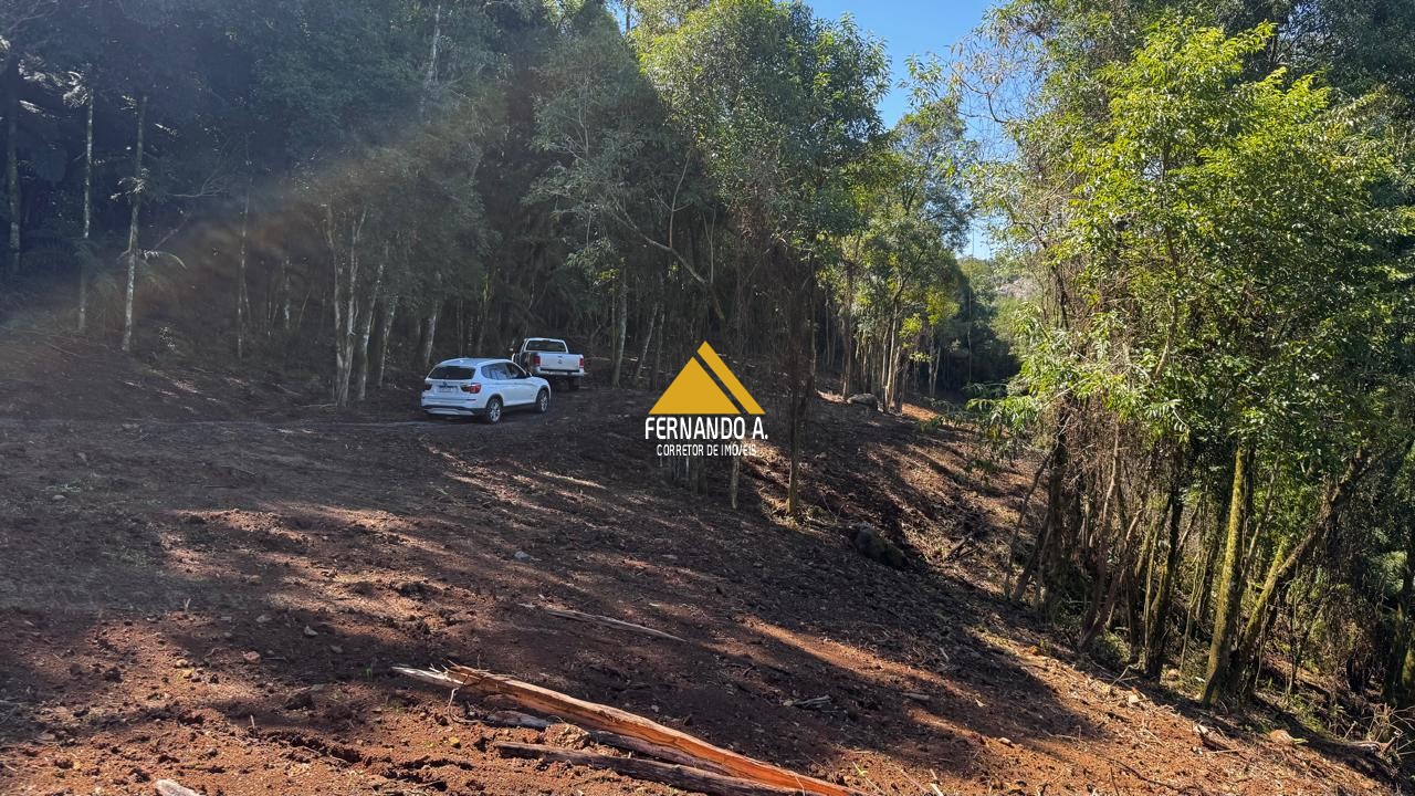Sítio / Chácara para Venda em Santa Maria do Herval -2 Hectares + Vista Incrível + Próximo a Gramado