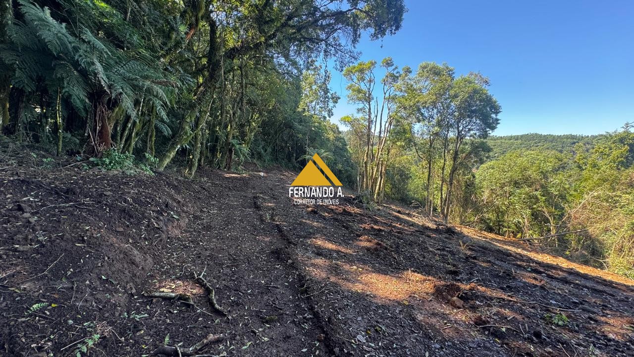 Sítio / Chácara para Venda em Santa Maria do Herval -2 Hectares + Vista Incrível + Próximo a Gramado