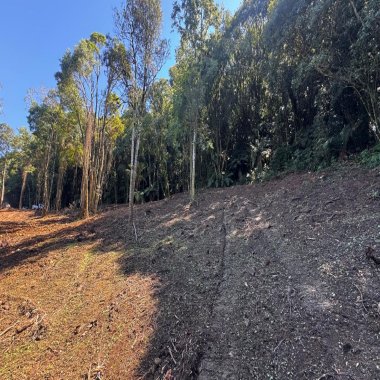 Sítio / Chácara para Venda em Santa Maria do Herval -2 Hectares + Vista Incrível + Próximo a Gramado