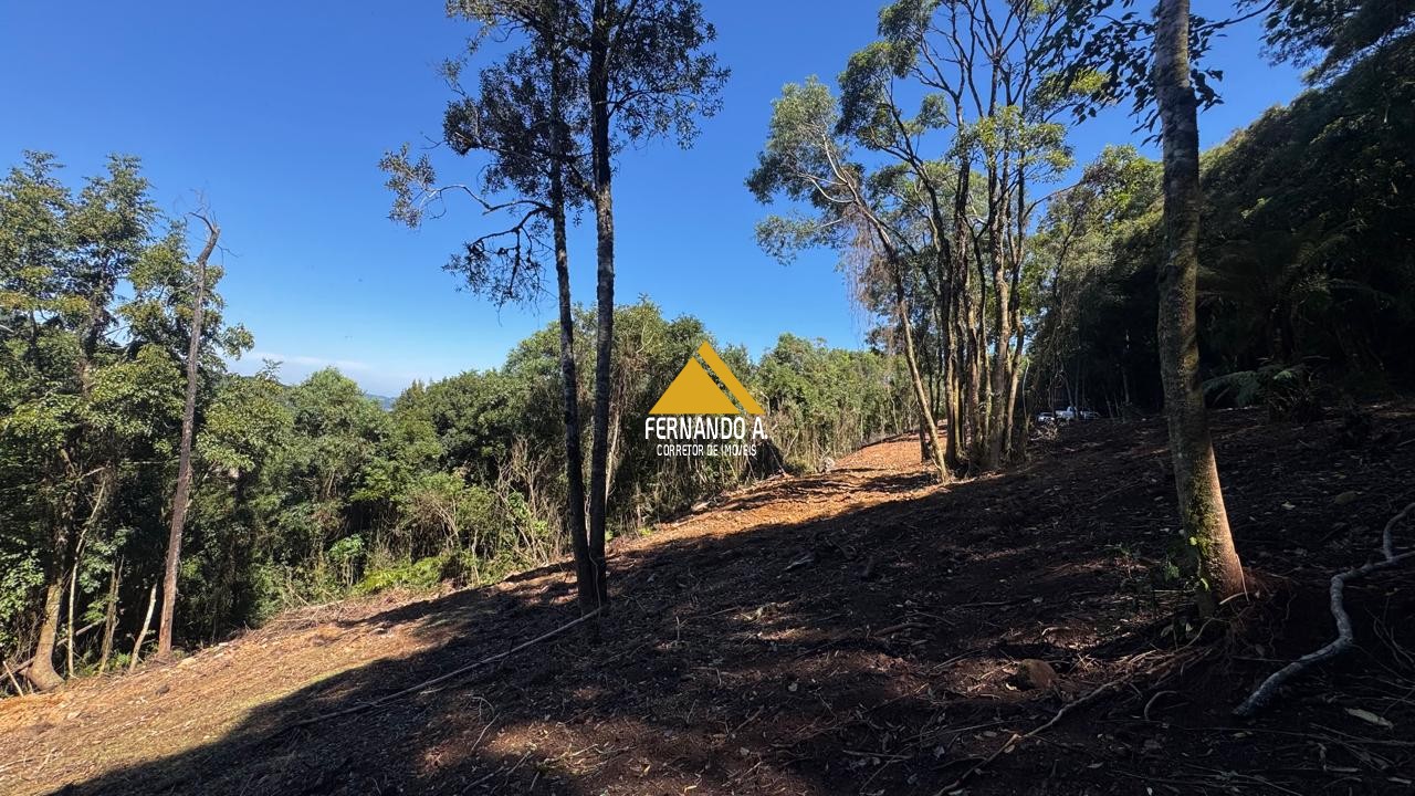 Sítio / Chácara para Venda em Santa Maria do Herval -2 Hectares + Vista Incrível + Próximo a Gramado