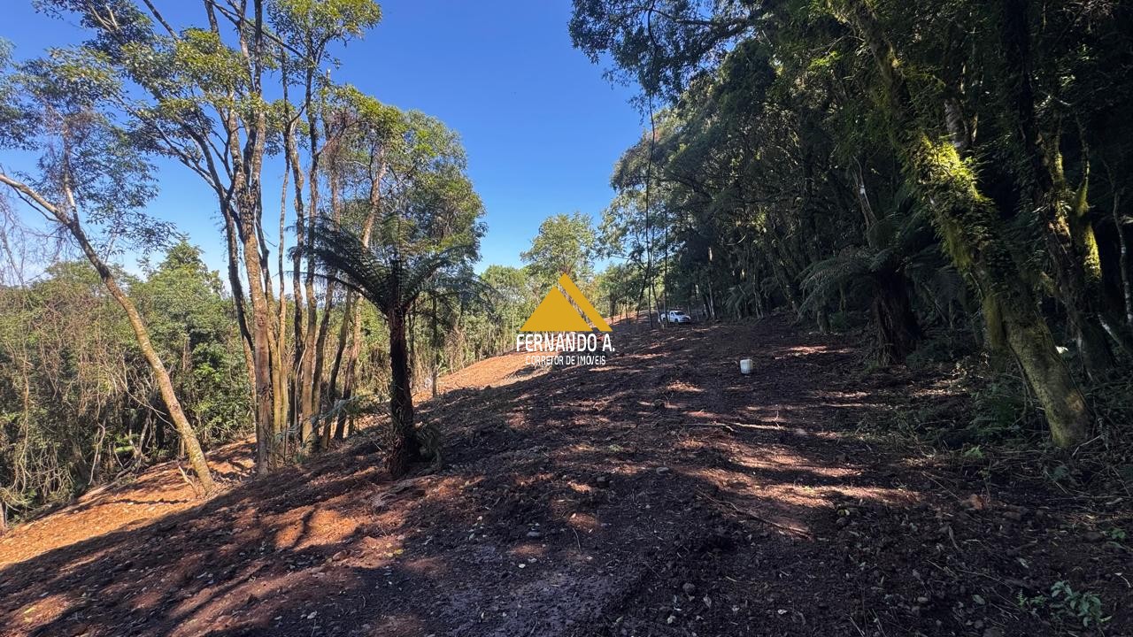 Sítio / Chácara para Venda em Santa Maria do Herval -2 Hectares + Vista Incrível + Próximo a Gramado