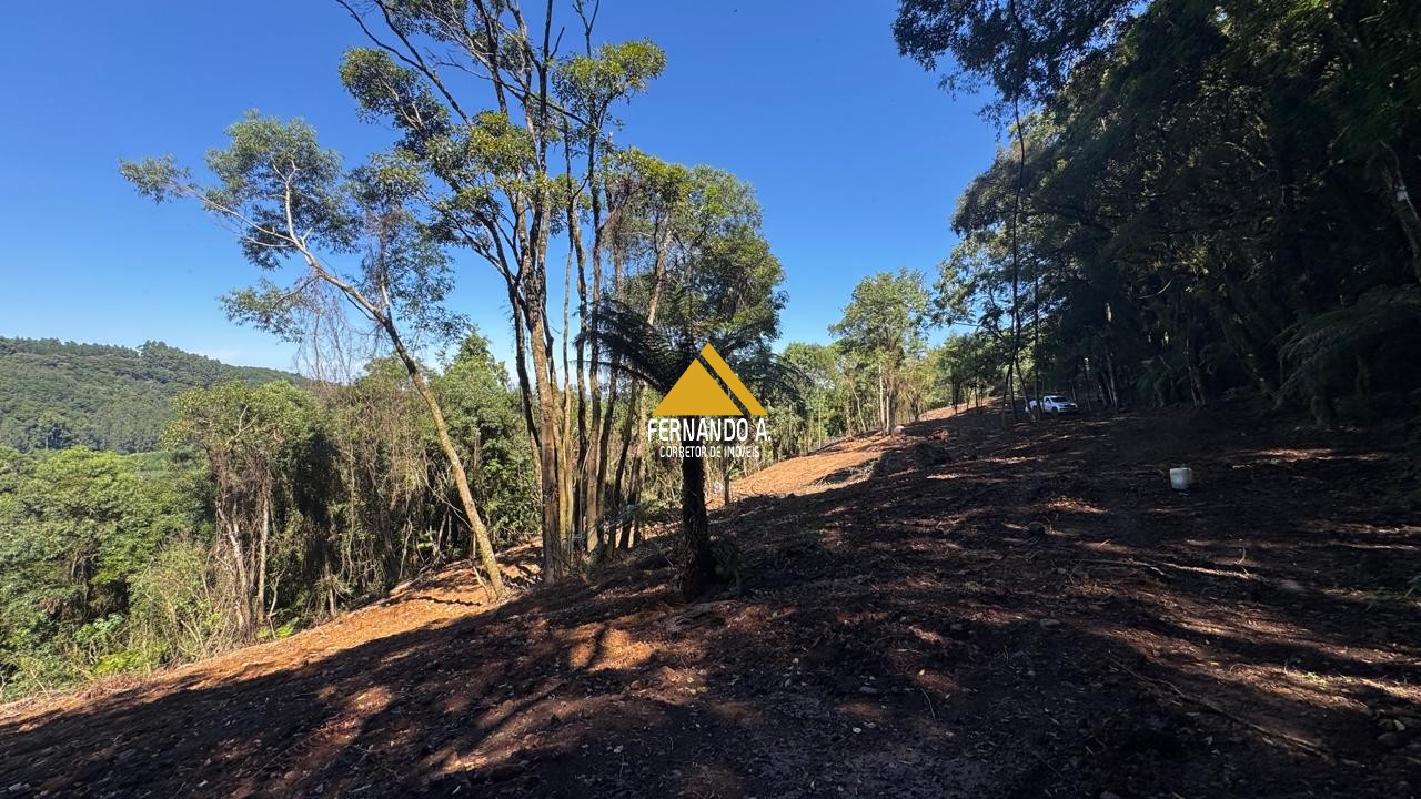 Sítio / Chácara para Venda em Santa Maria do Herval -2 Hectares + Vista Incrível + Próximo a Gramado