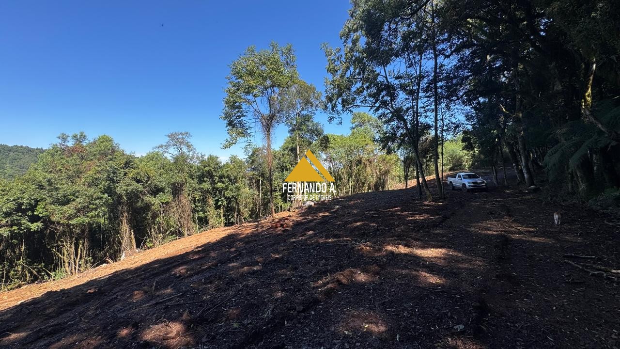 Sítio / Chácara para Venda em Santa Maria do Herval -2 Hectares + Vista Incrível + Próximo a Gramado