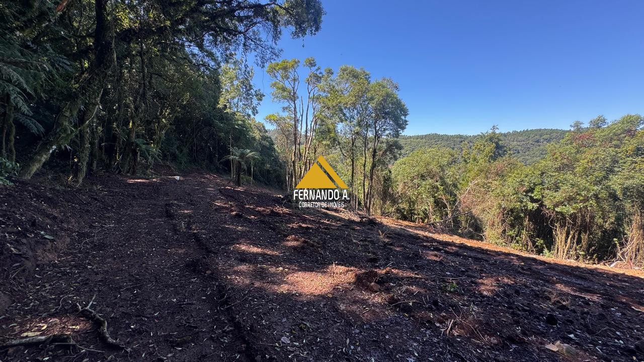 Sítio / Chácara para Venda em Santa Maria do Herval -2 Hectares + Vista Incrível + Próximo a Gramado