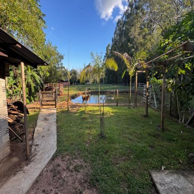 Sítio / Chácara 3 quartos para Venda no bairro Arroio da Bica em Nova Hartz