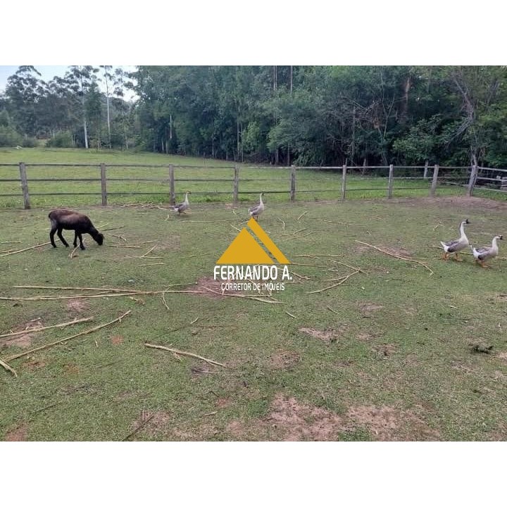 Sítio / Chácara 3 quartos para Venda no bairro Arroio da Bica em Nova Hartz